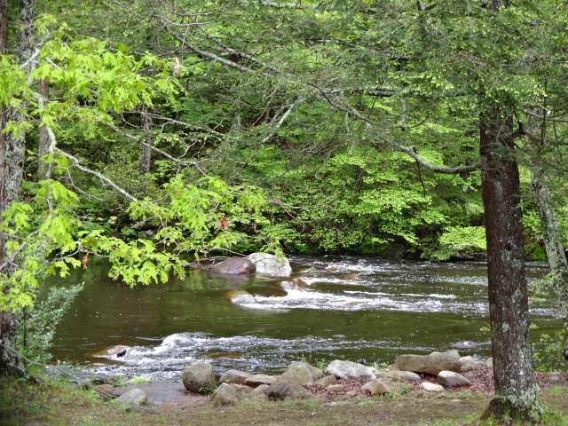 Nickerson Park Campground
