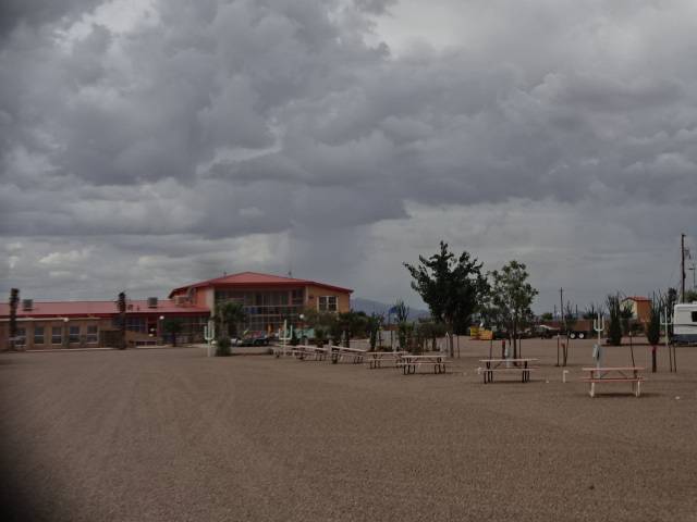 81 Palms Senior RV Resort