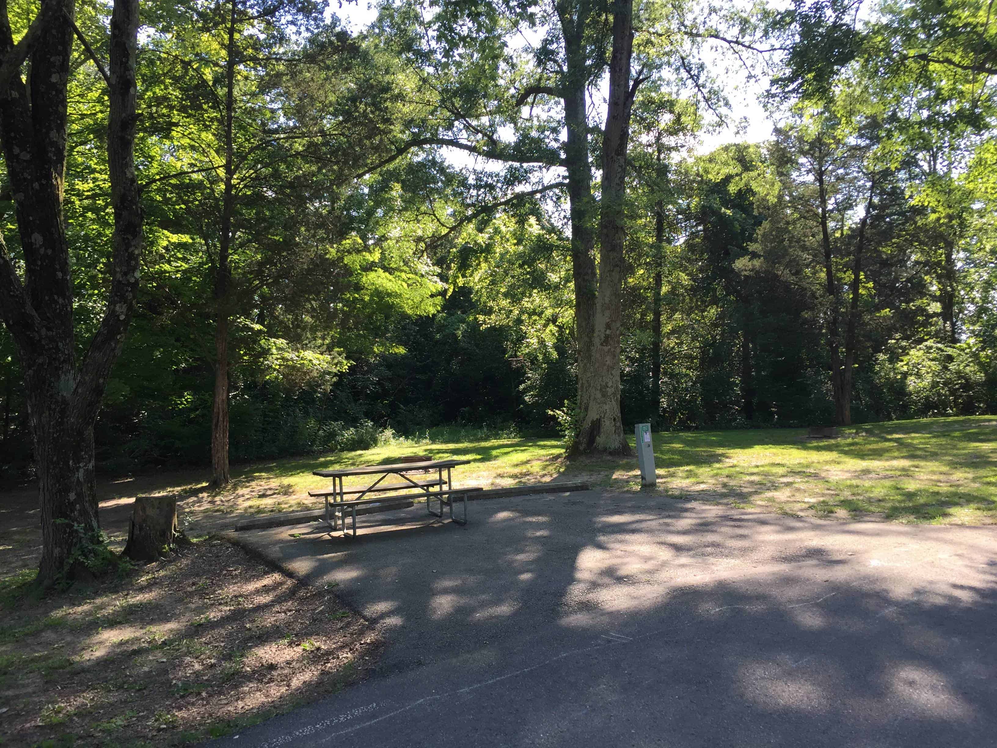 Stonelick State Park