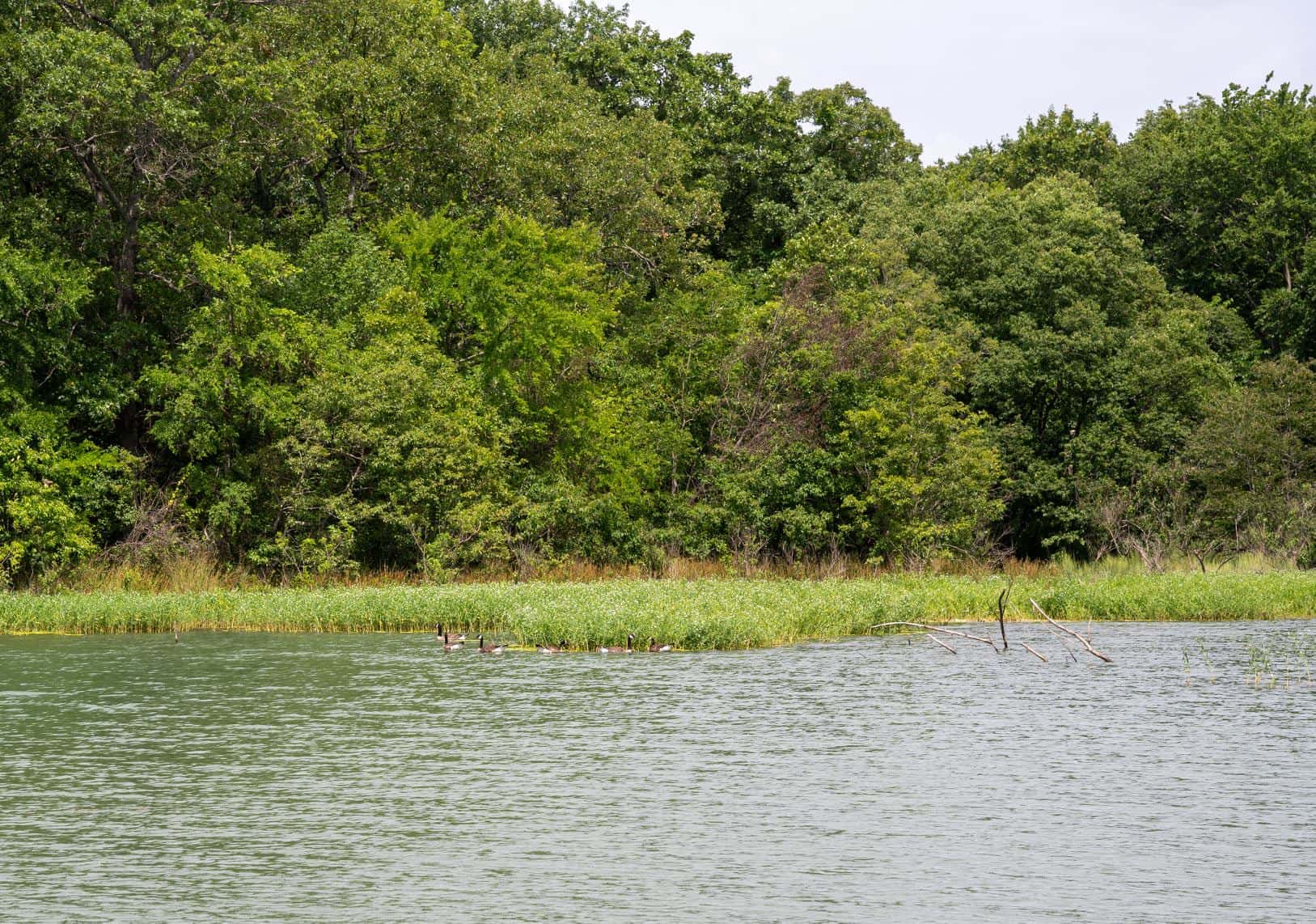 Lake Murray State Park - Dukes