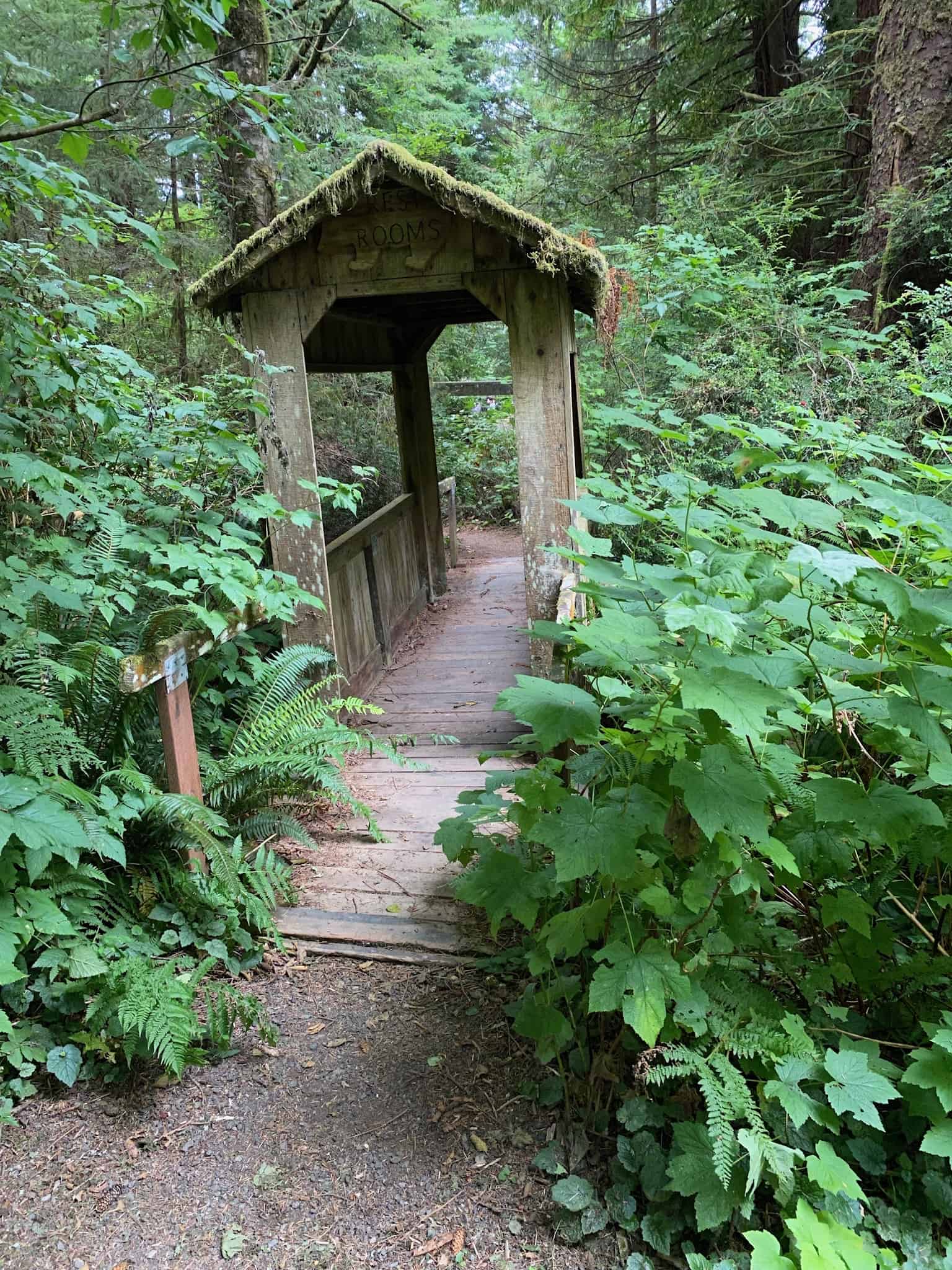 Mystic Forest RV Park