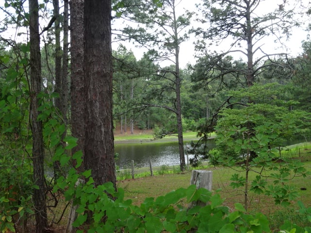 Lazy Acres Campground