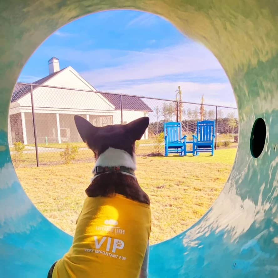 Savannah Lakes RV Resort