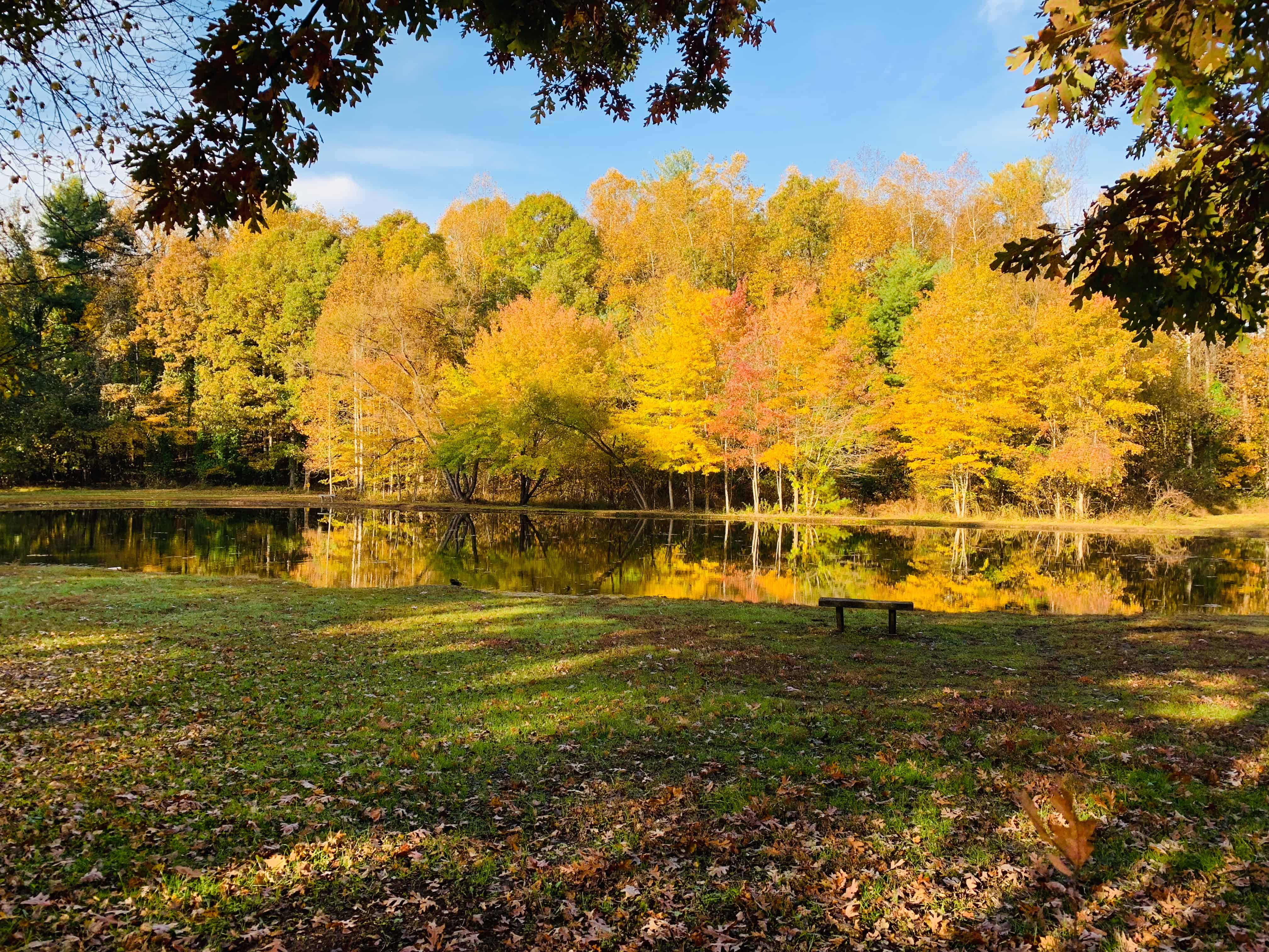 Lynchburg / Blue Ridge Parkway KOA
