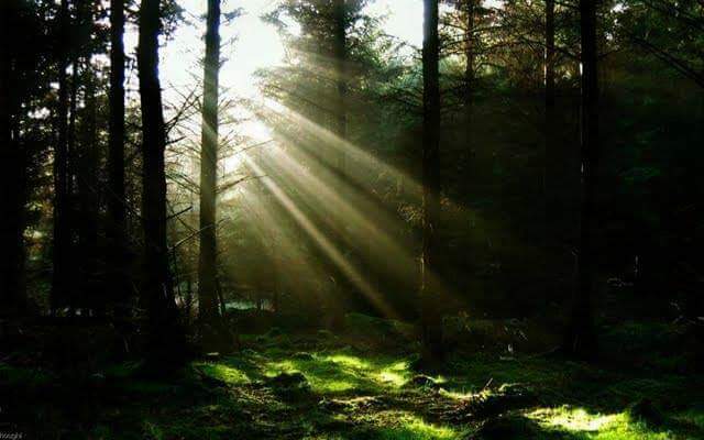 Rustic Acres RV Resort and Campground