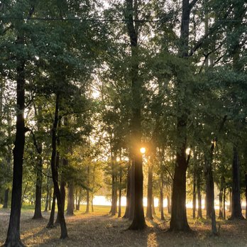 Shirley Creek Marina and Campground