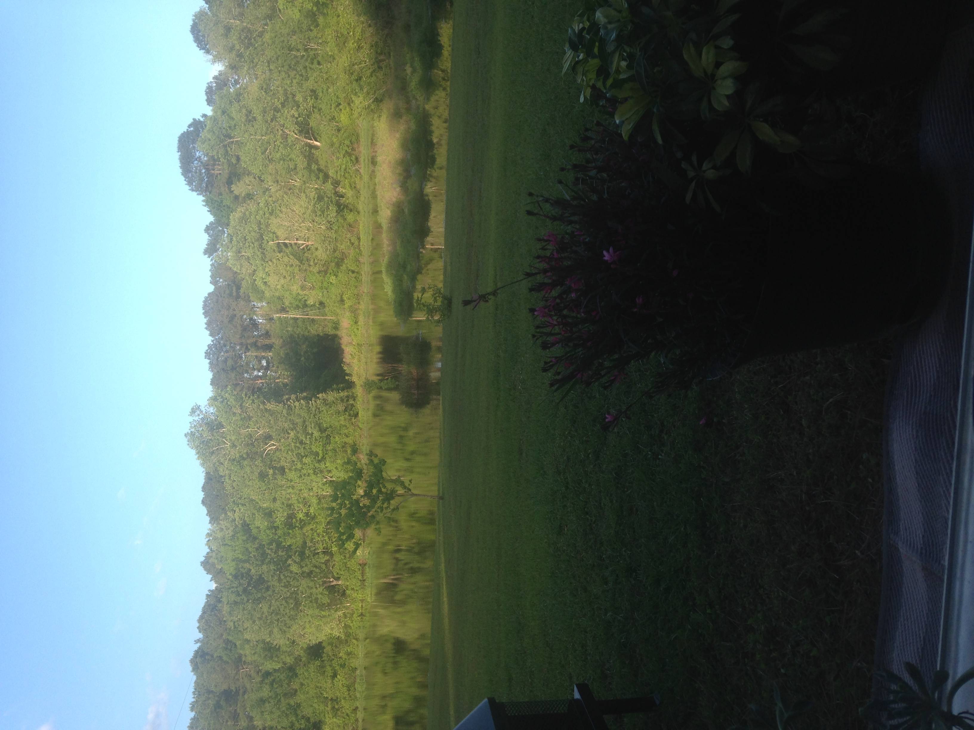 Lake Naomi RV Park and Campground