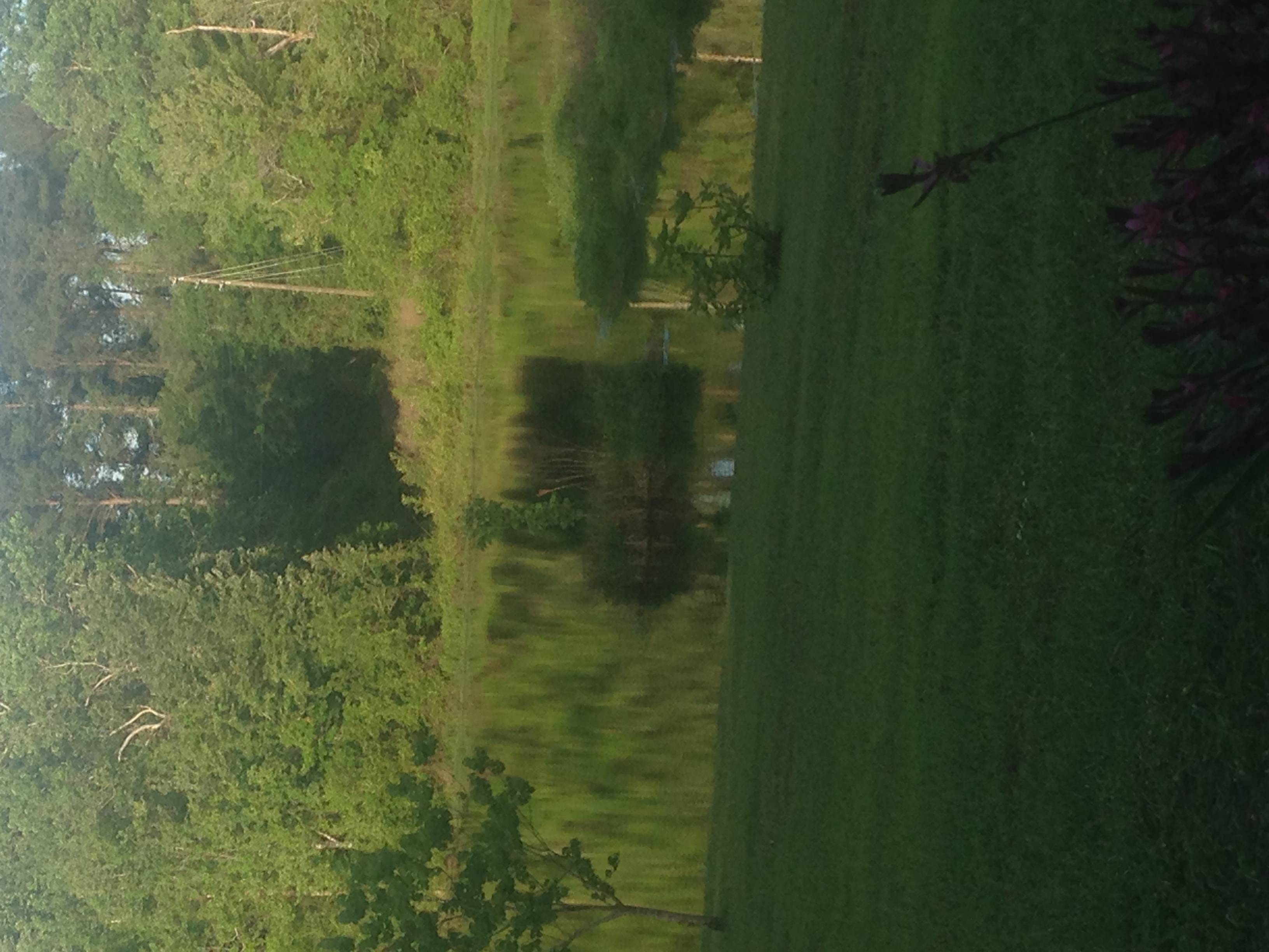 Lake Naomi RV Park and Campground