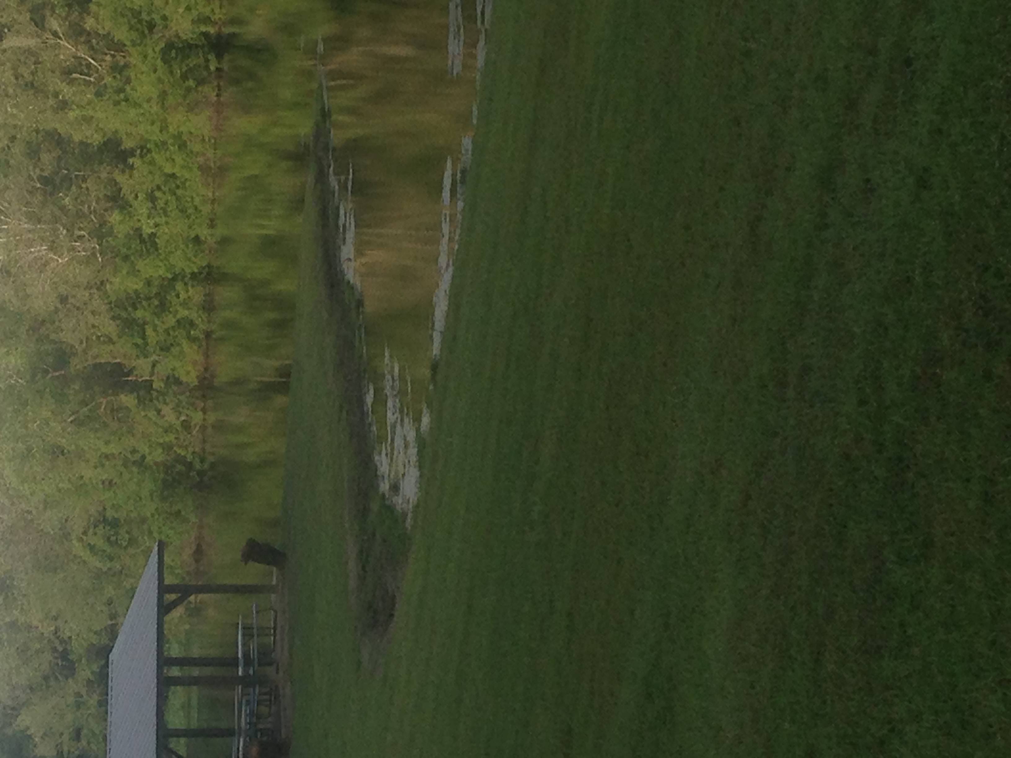 Lake Naomi RV Park and Campground