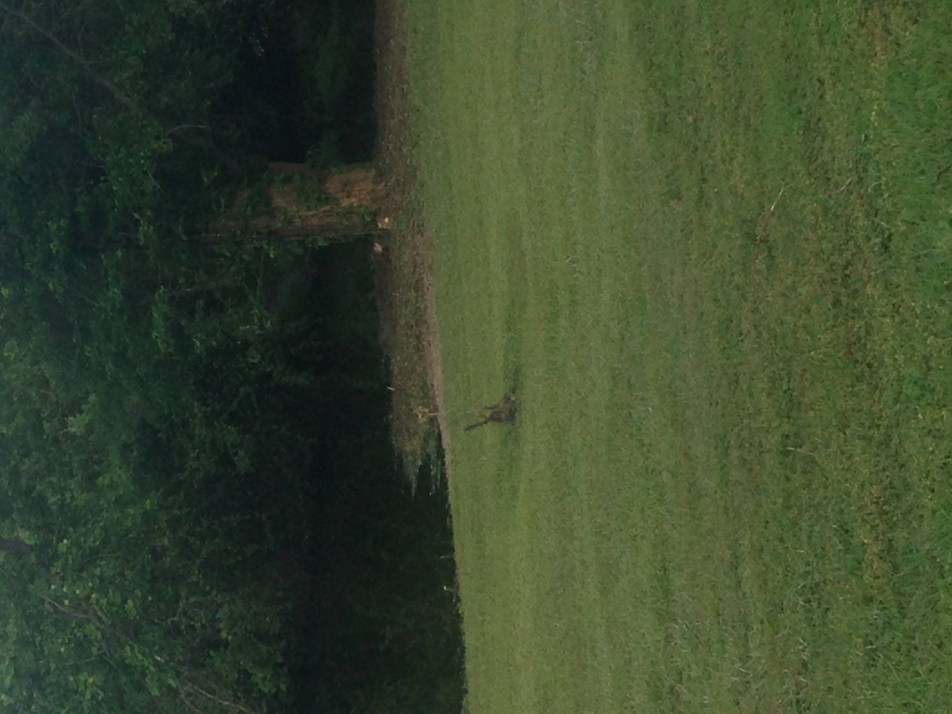 Lake Naomi RV Park and Campground