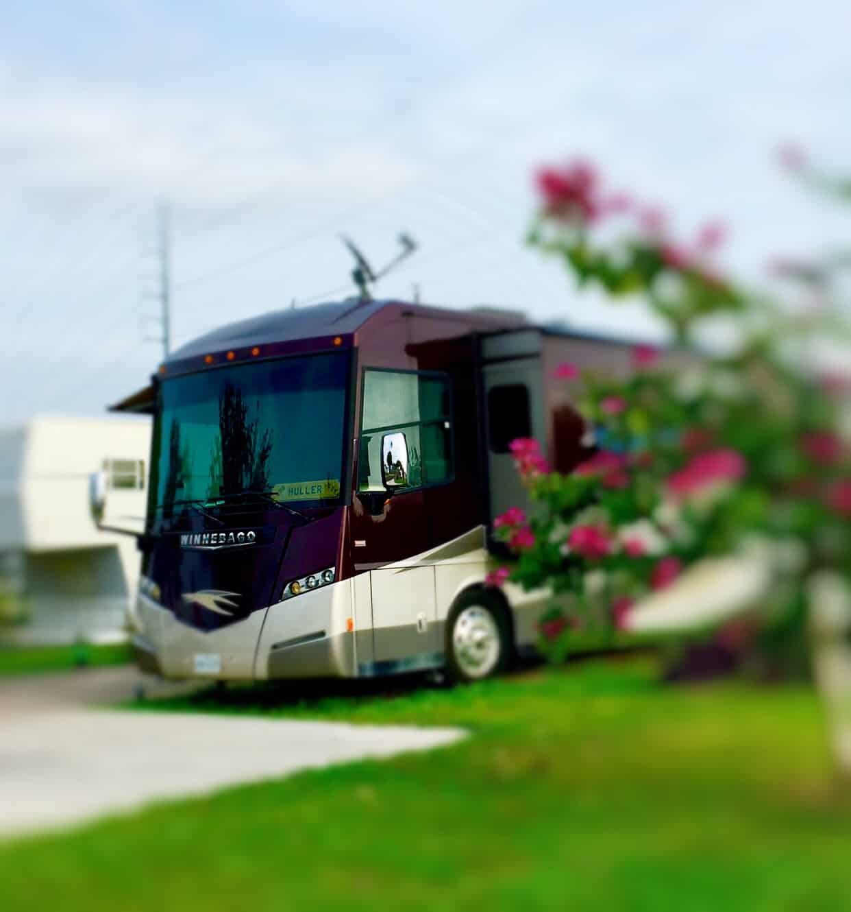 Bluebonnet RV Resort