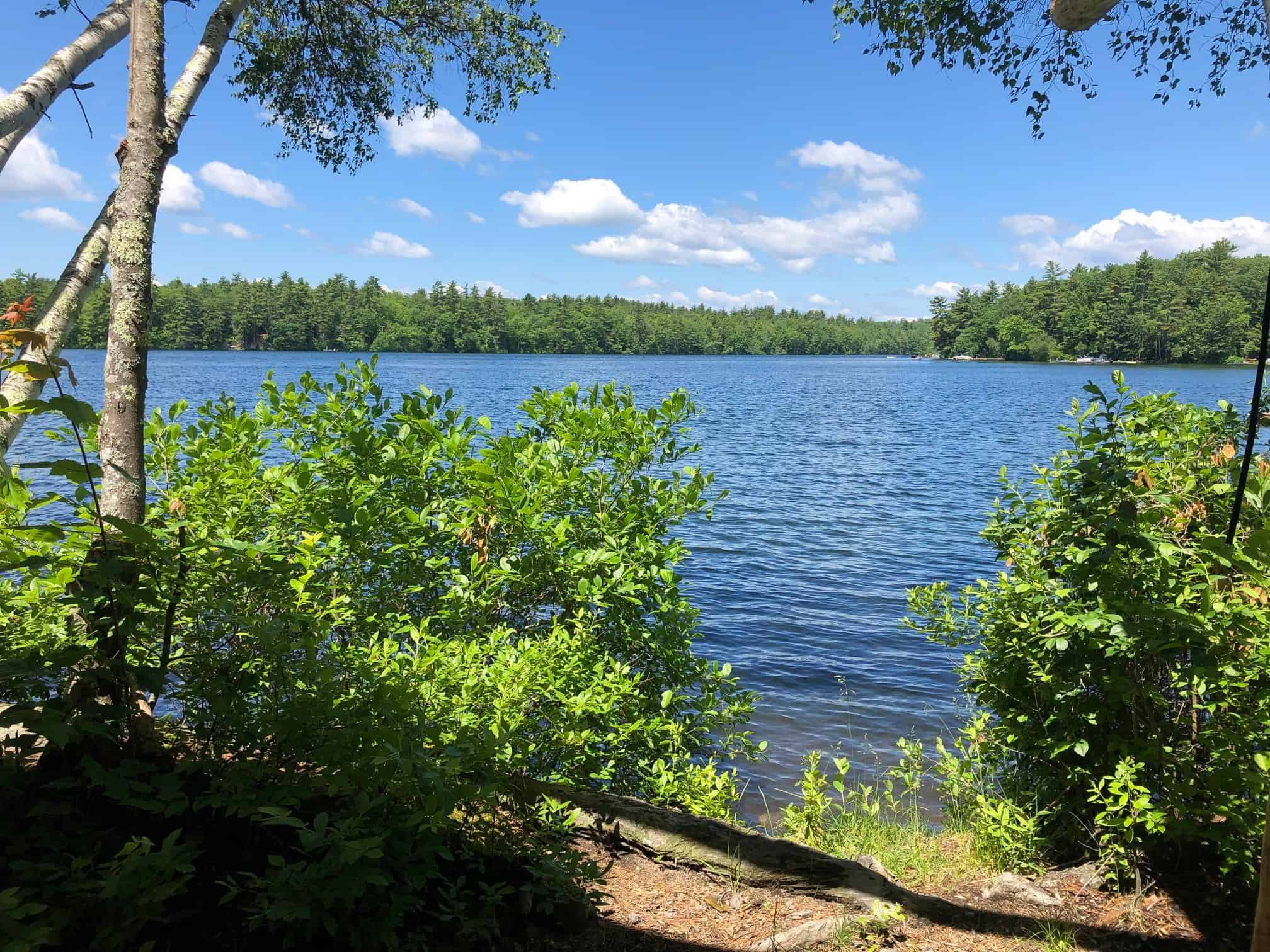 Loon's Haven Family Campground