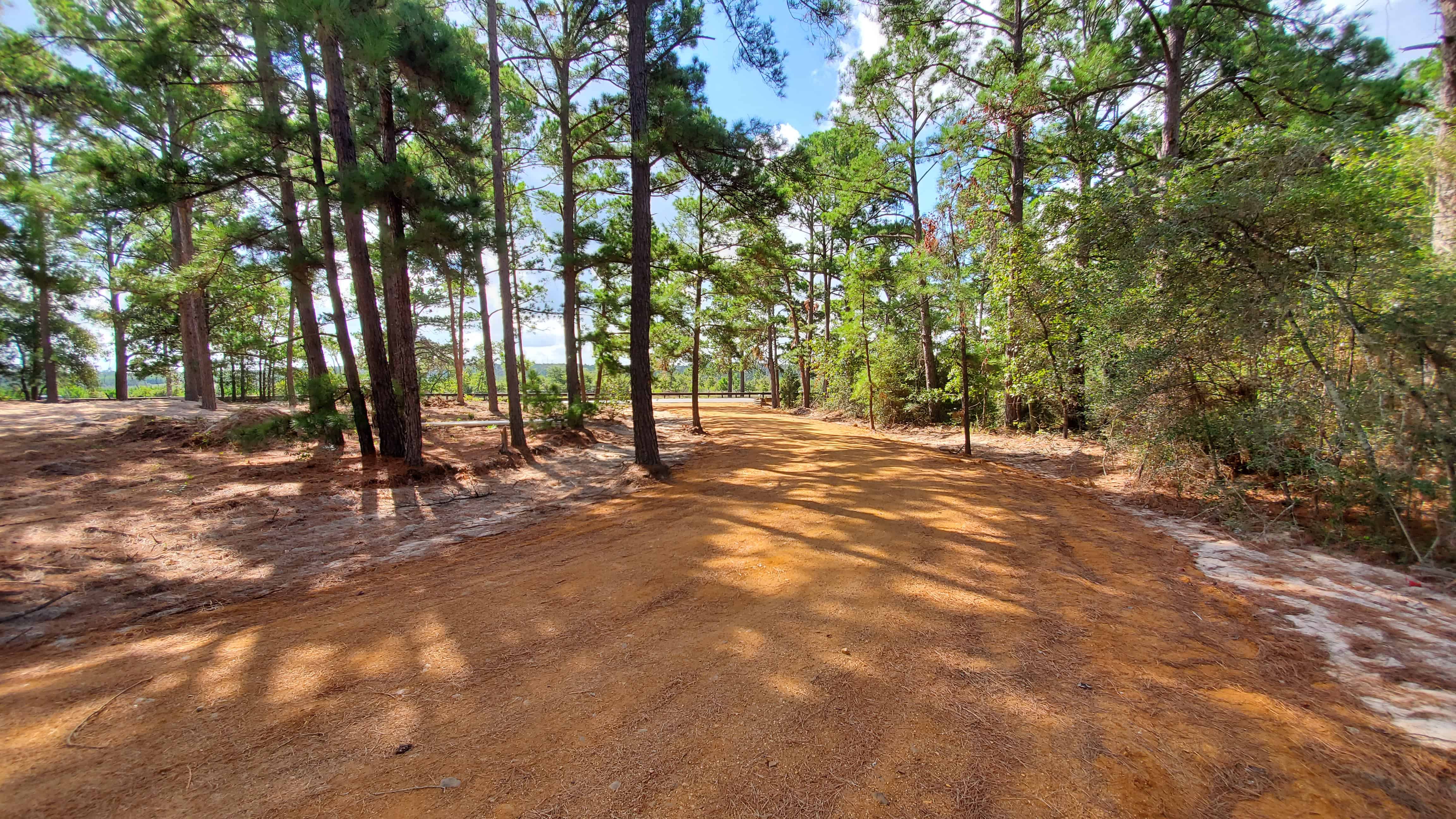 The Pines at Bastrop RV Park