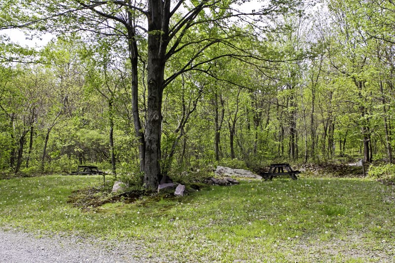 Peaceful Woodlands Campground