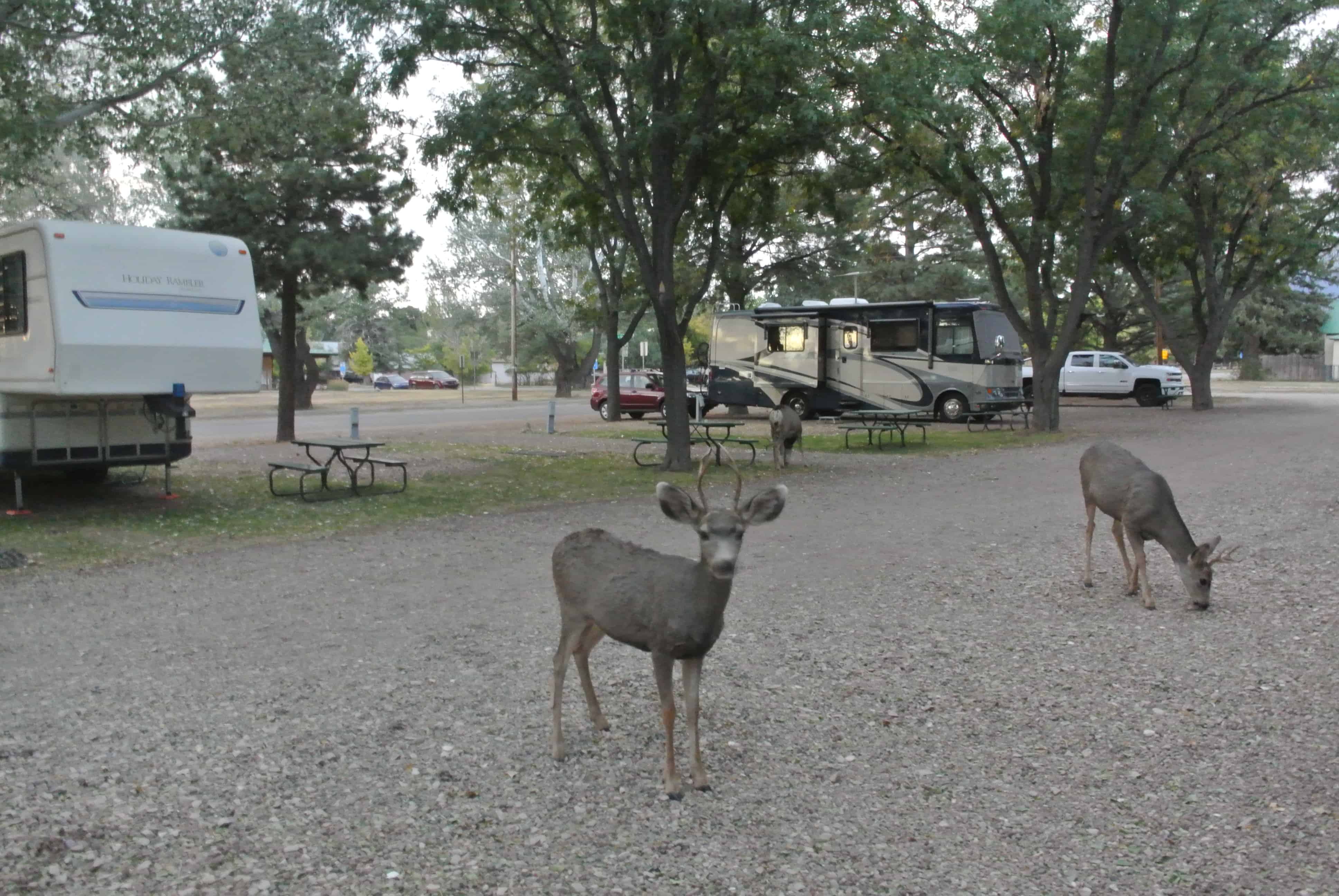 La Veta Pines RV Park