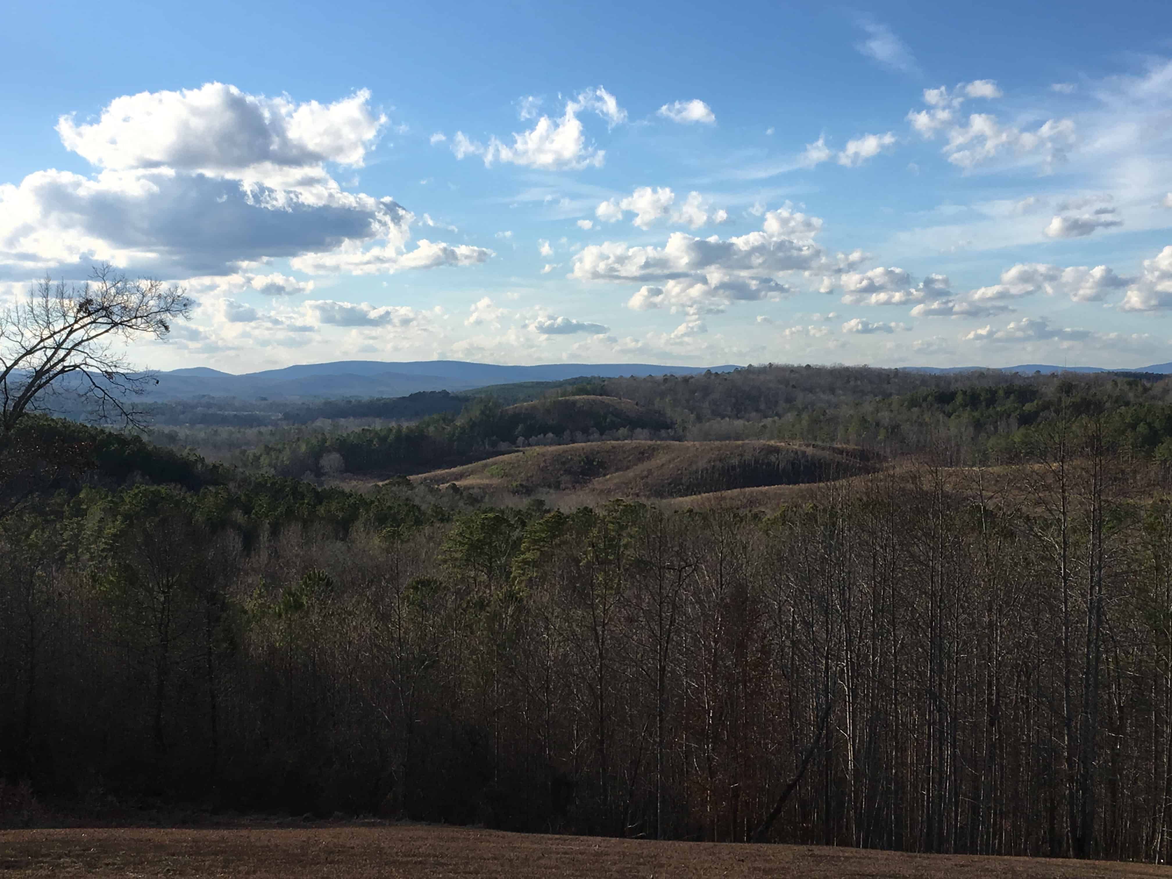 Franks Point Of View