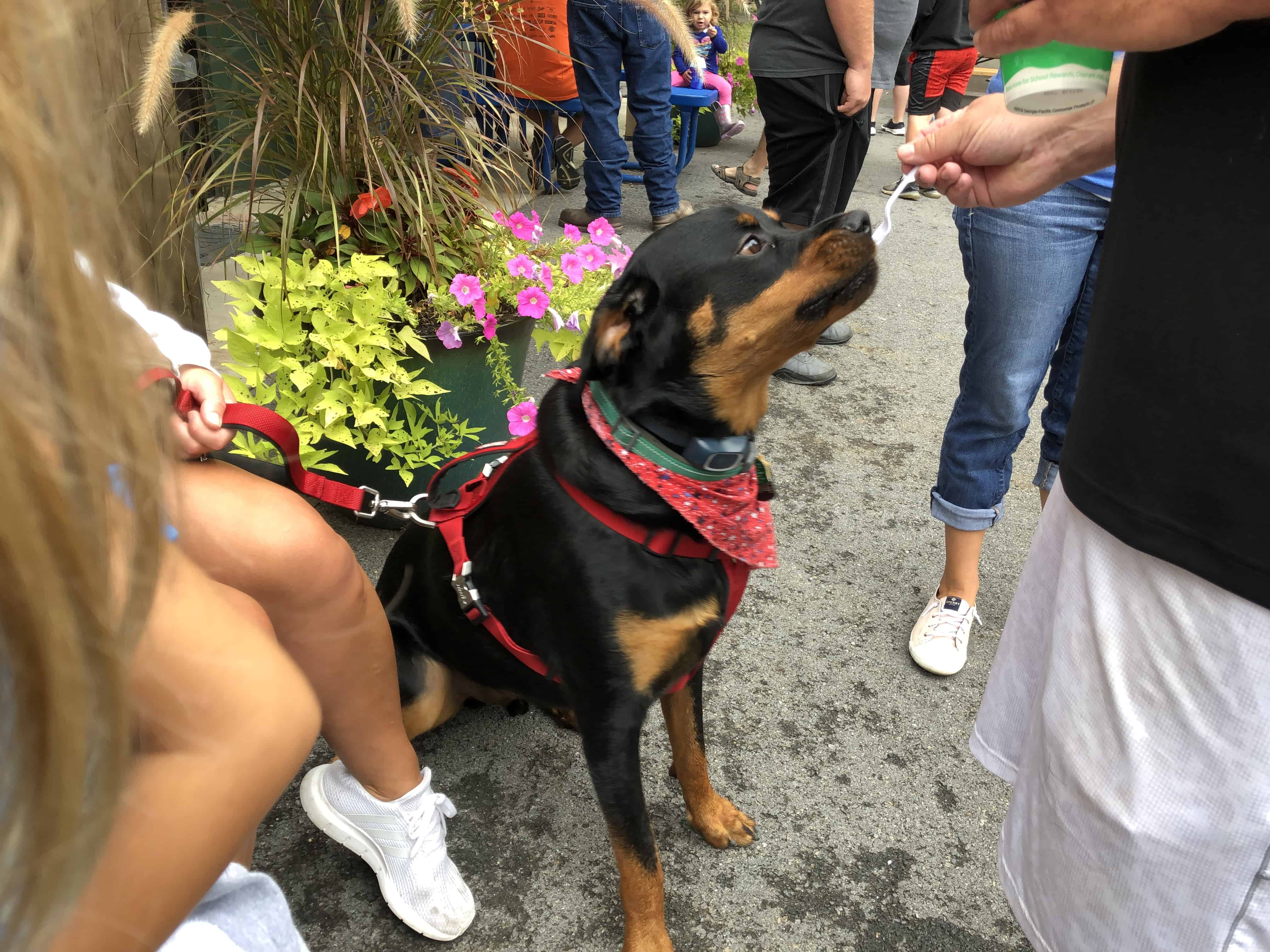 Hidden Springs Campground