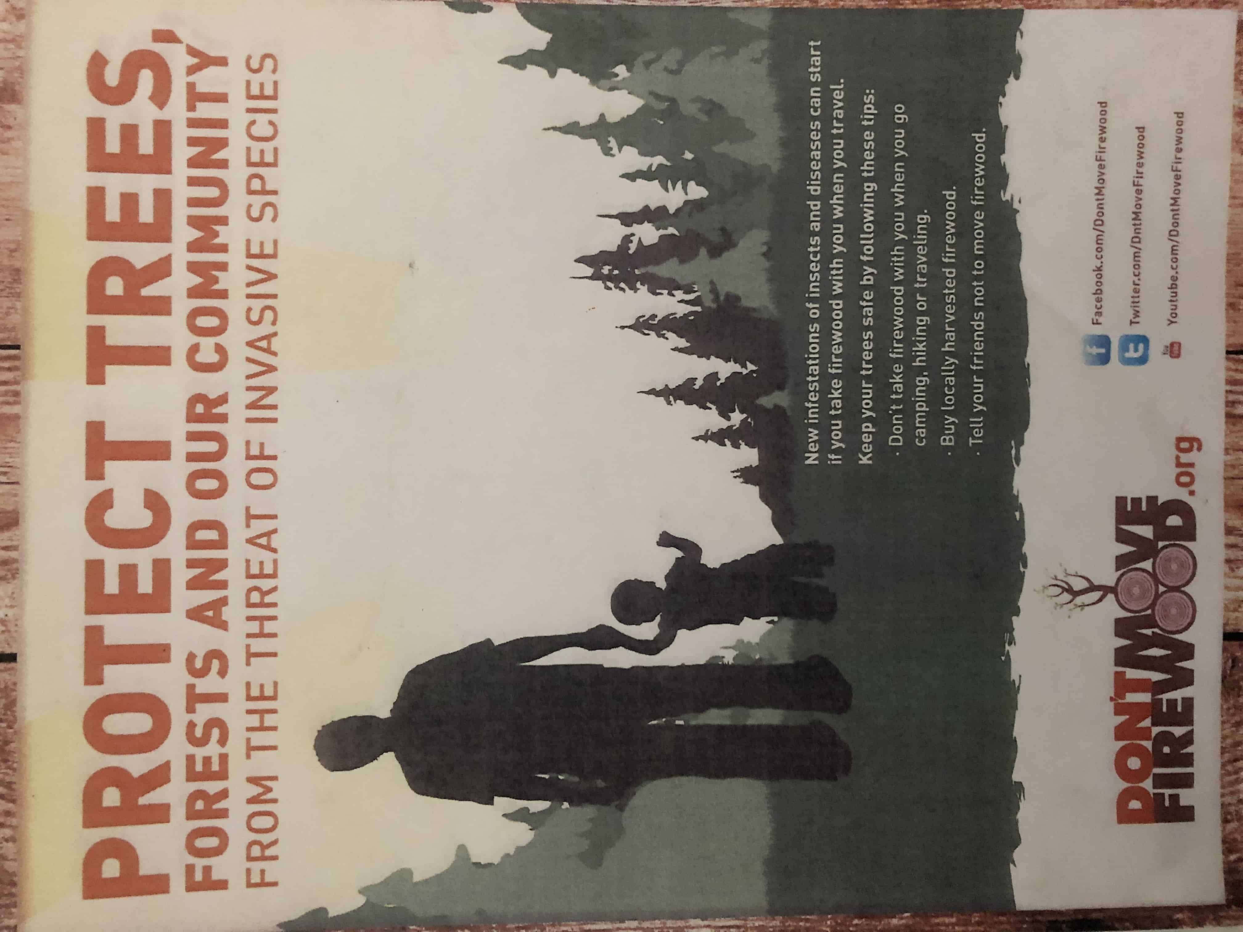 Castles Windy Hollow Campground