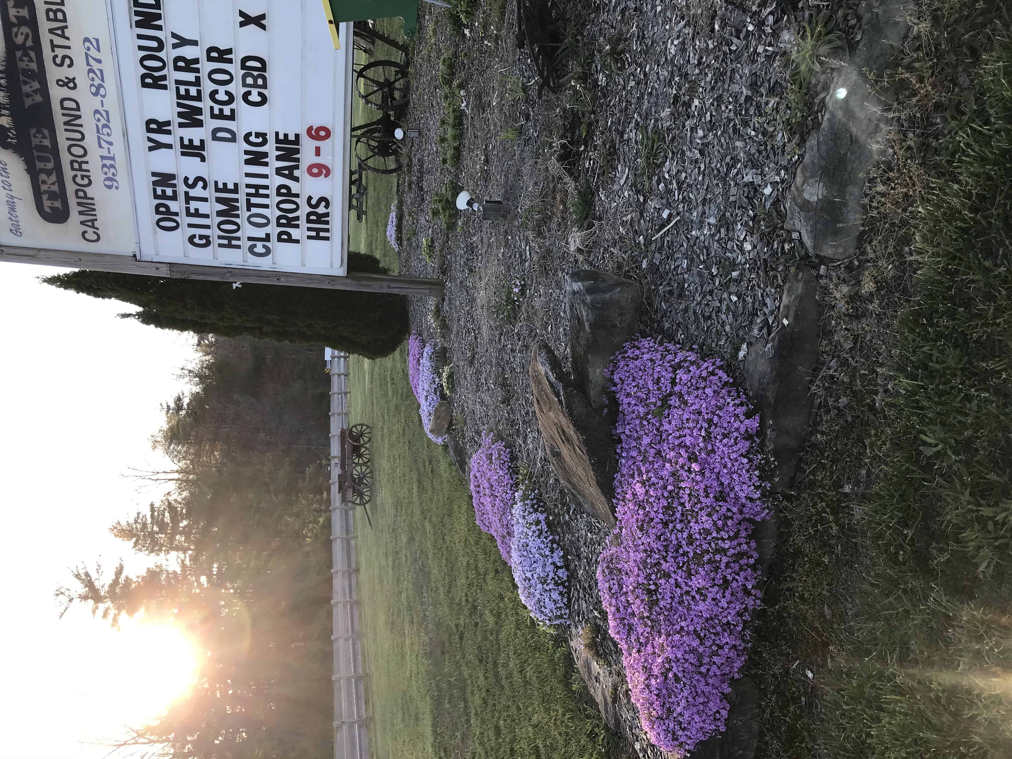 True West Campground, Stables and Mercantile and West Glam Frontier