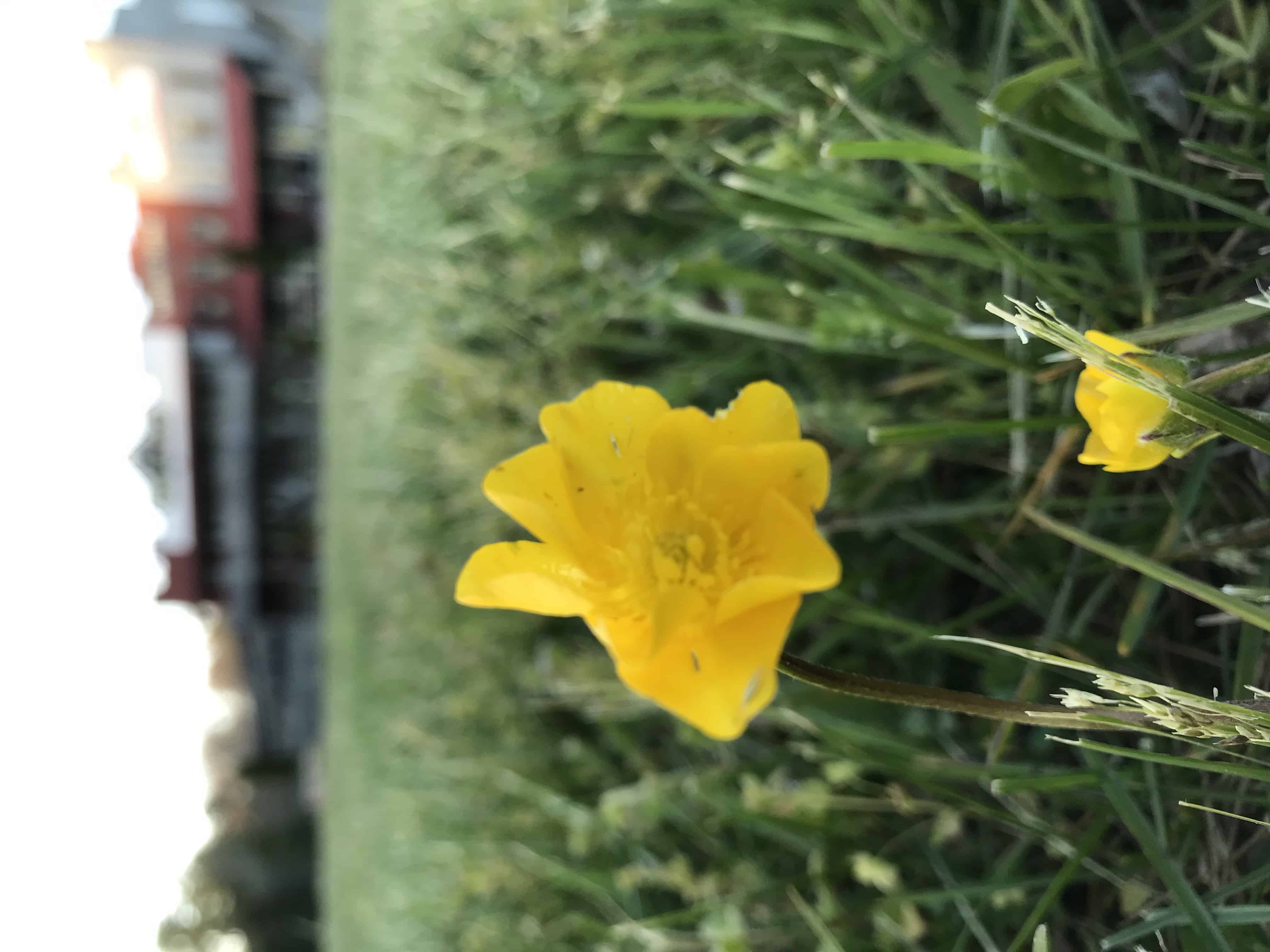 True West Campground, Stables and Mercantile and West Glam Frontier