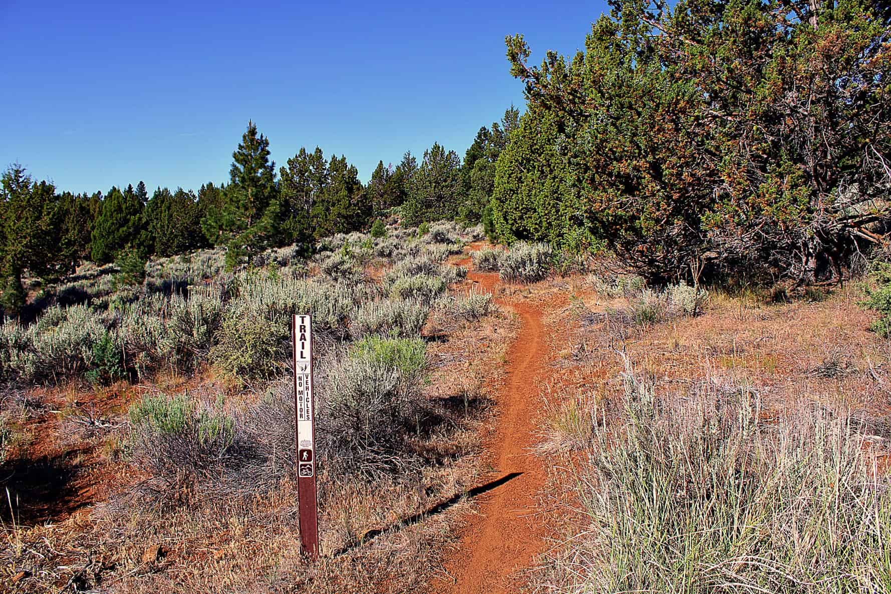 American Eagle RV Park