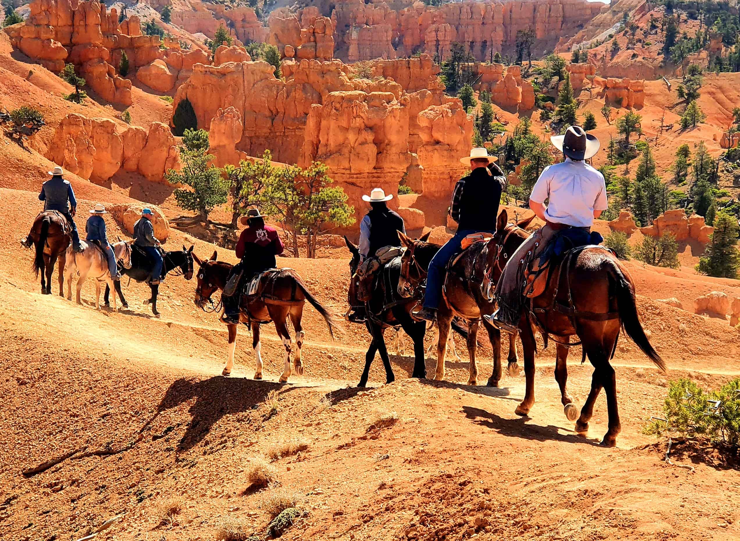 Bryce Valley Ranch RV & Horse Park