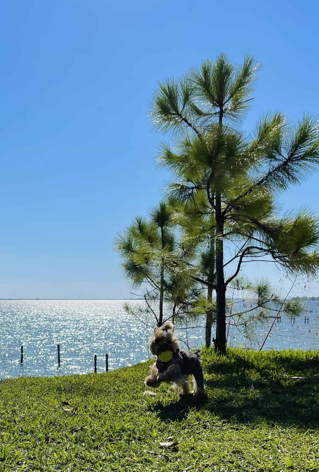 The Hideaway Camping Retreat