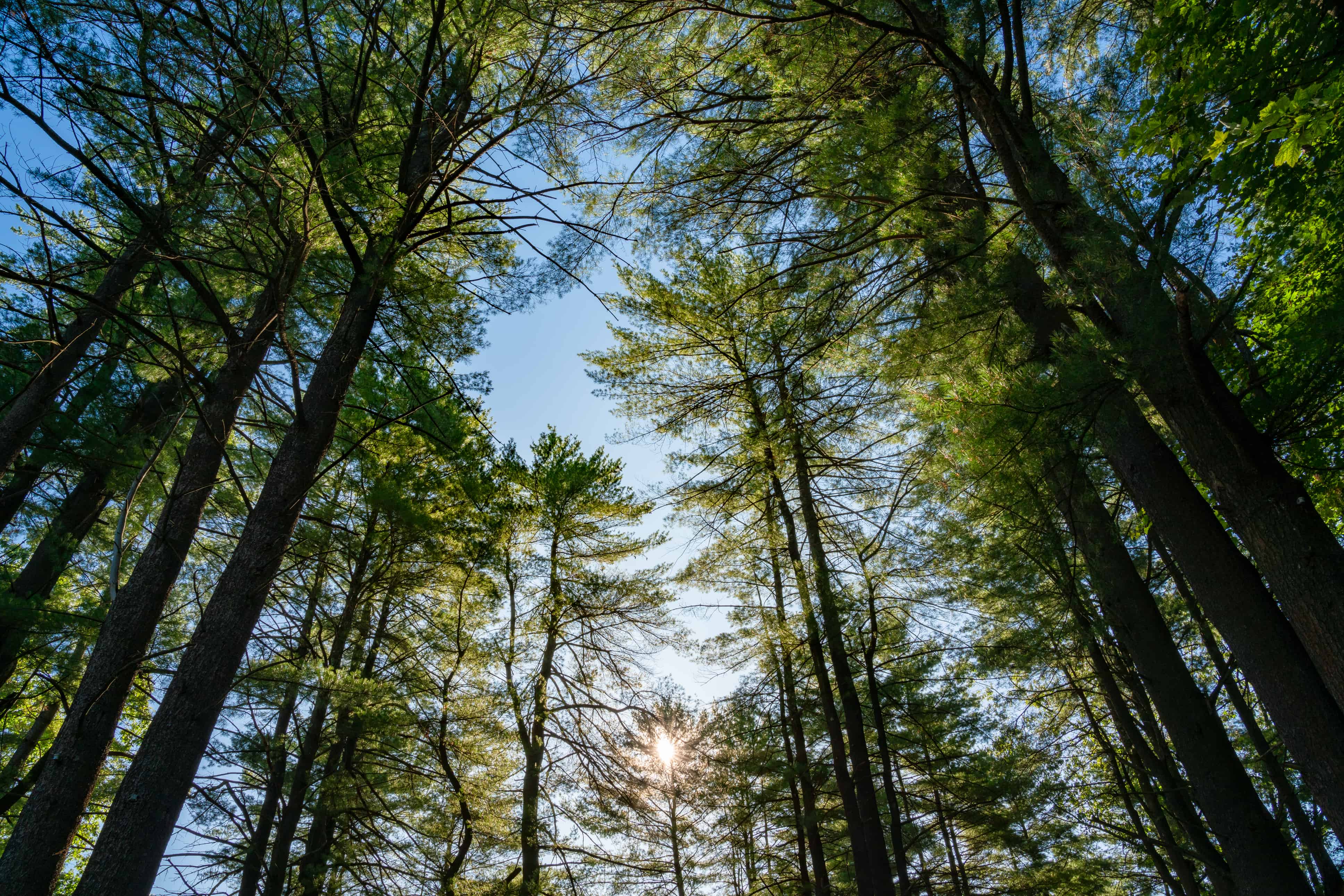 Sun Retreats Adirondack Gateway