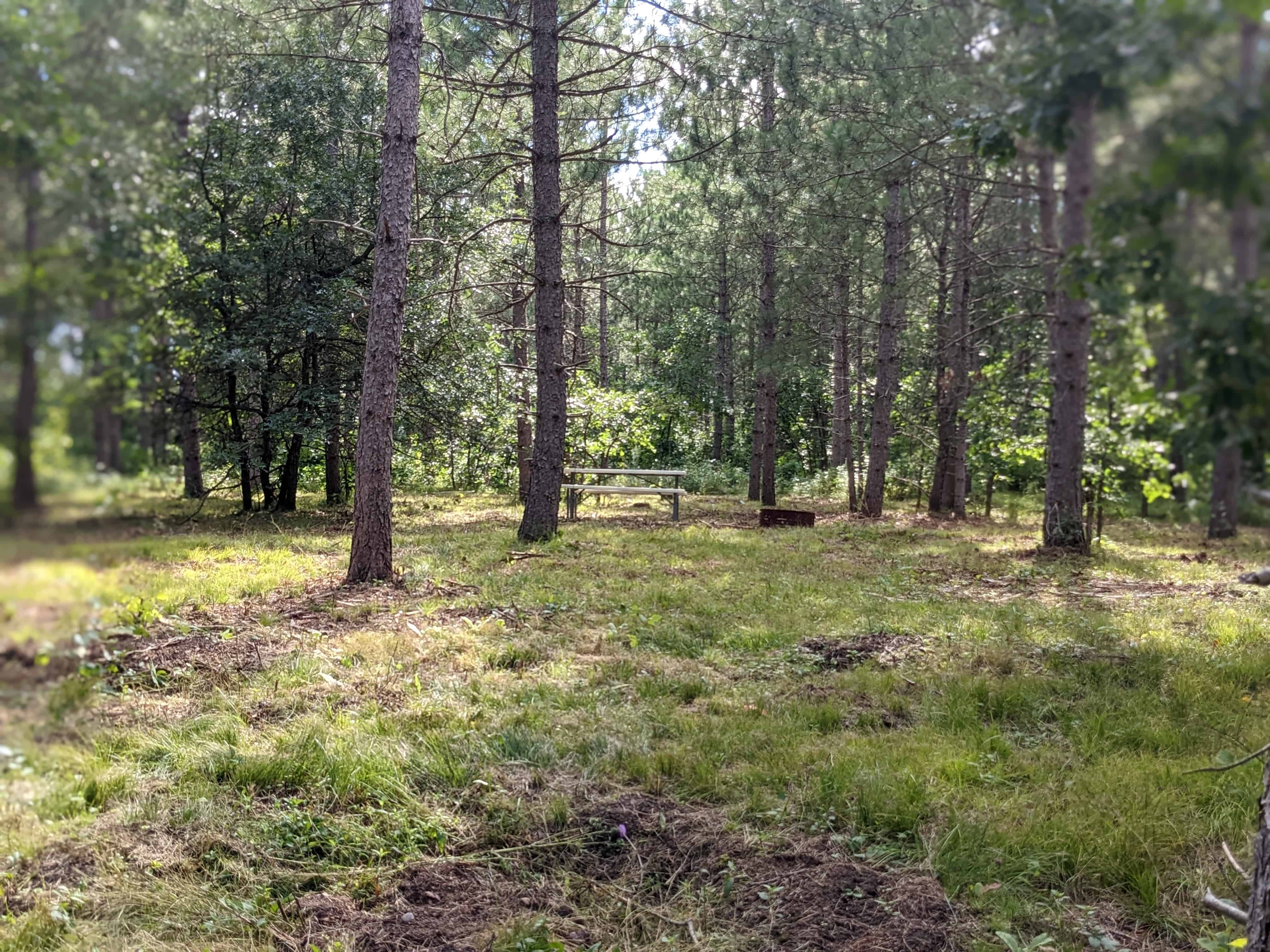 RV There Yet Campground