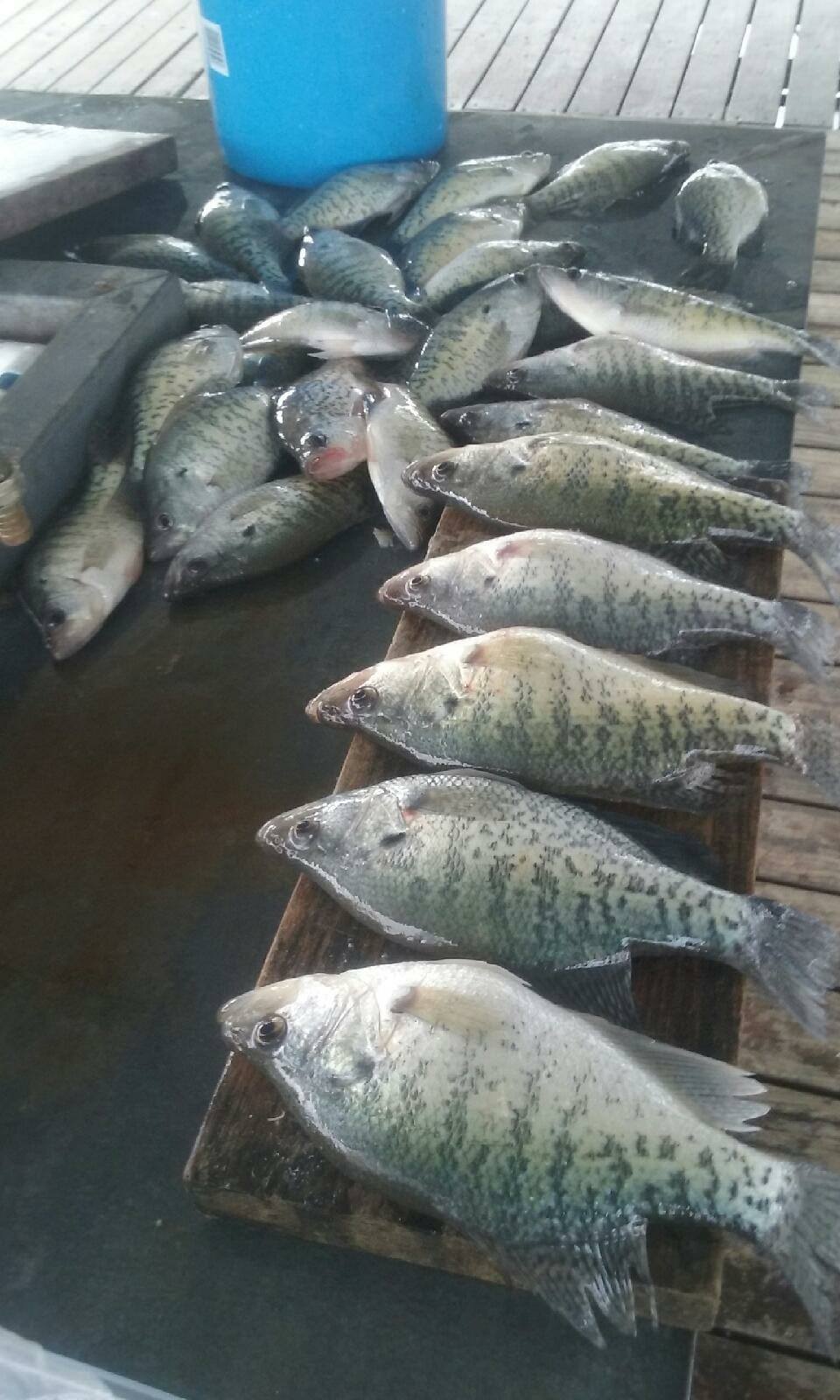 Beyonder Marine at Sterett Creek