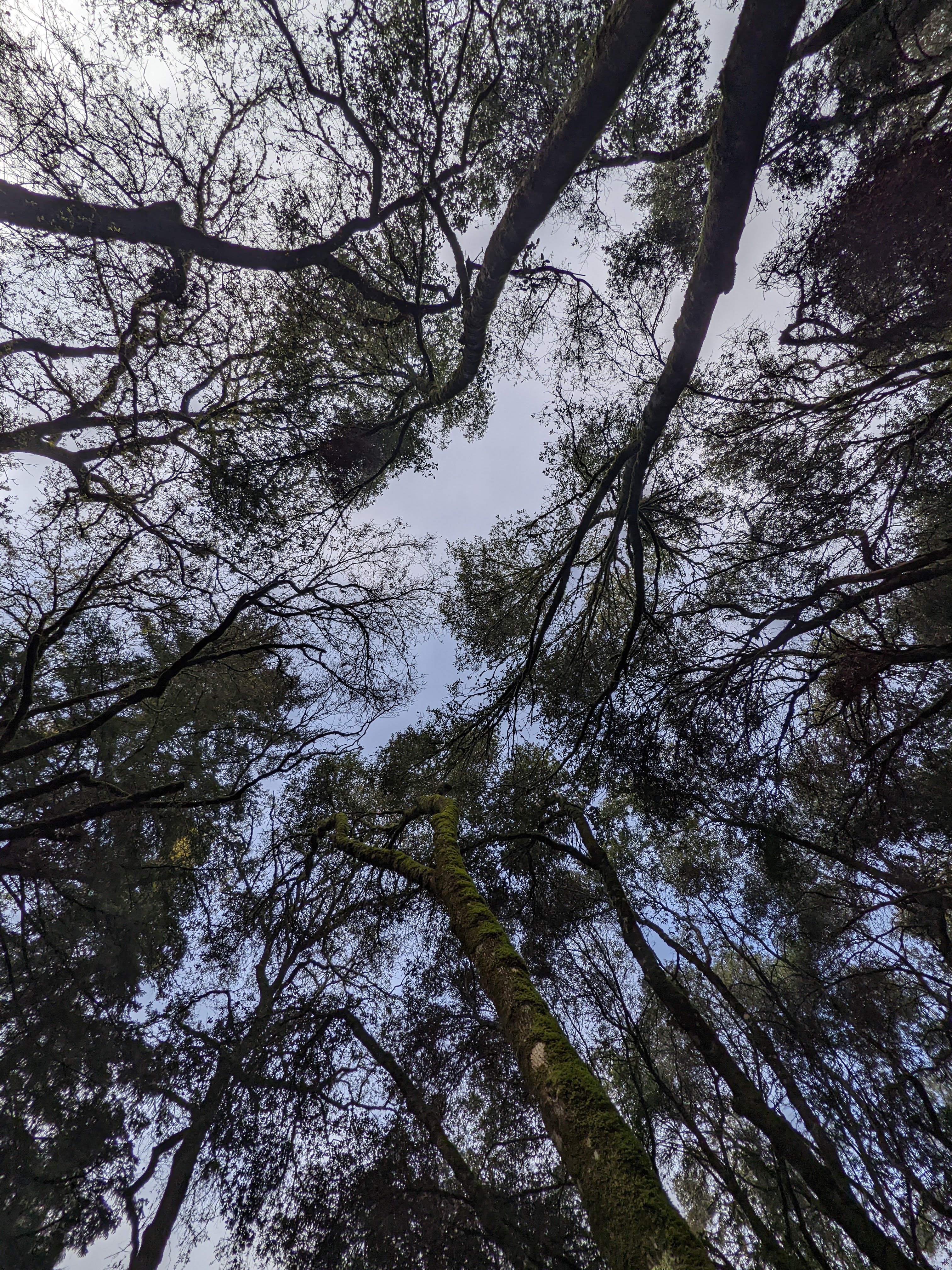 Blue Lakes Village RV Park