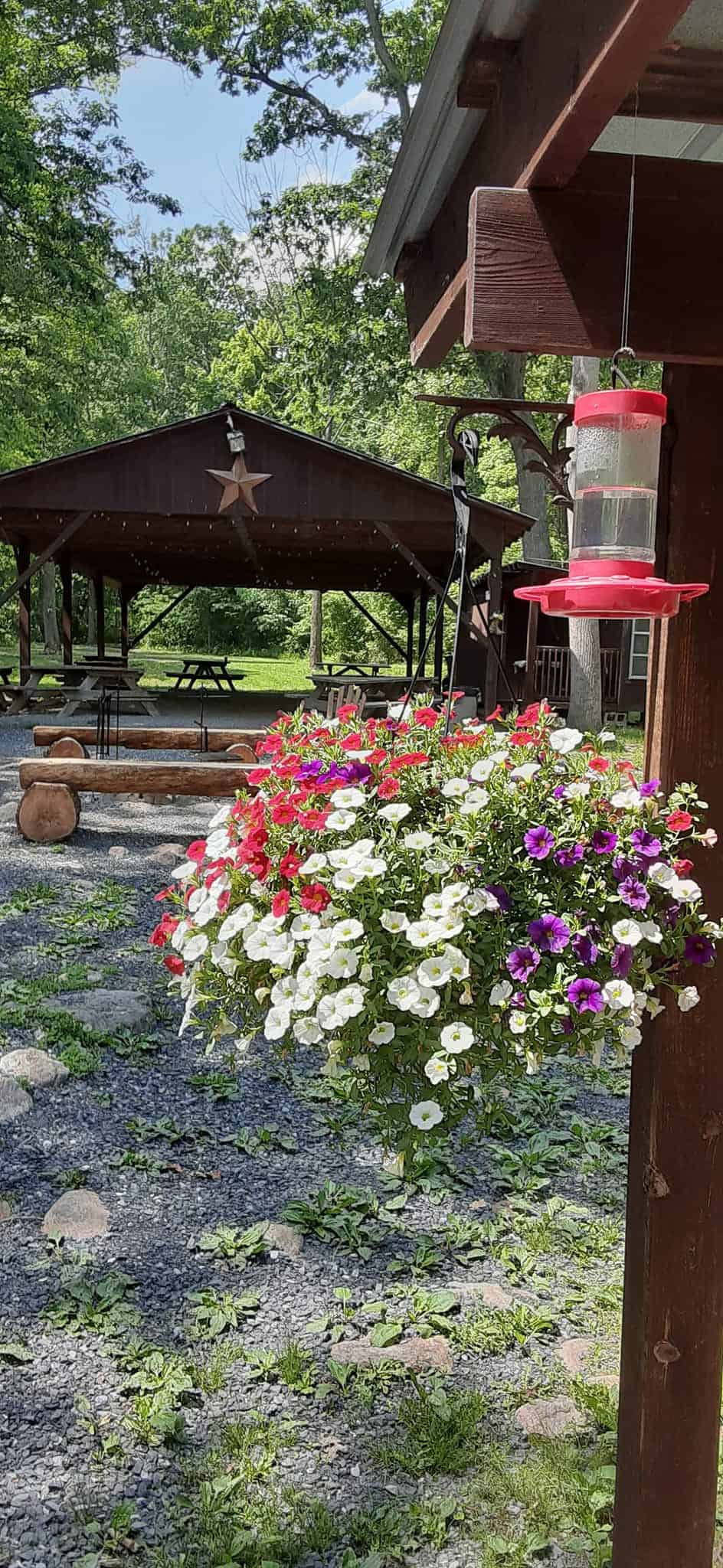 Fort Valley Ranch Campground and Cabins/ Trail Rides