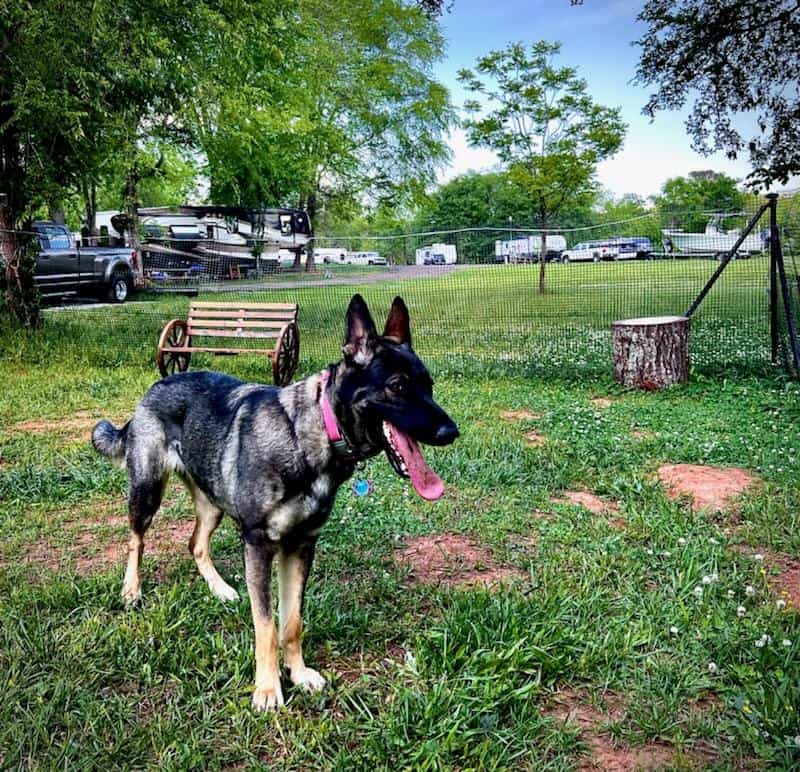 Lake Thurmond RV Park