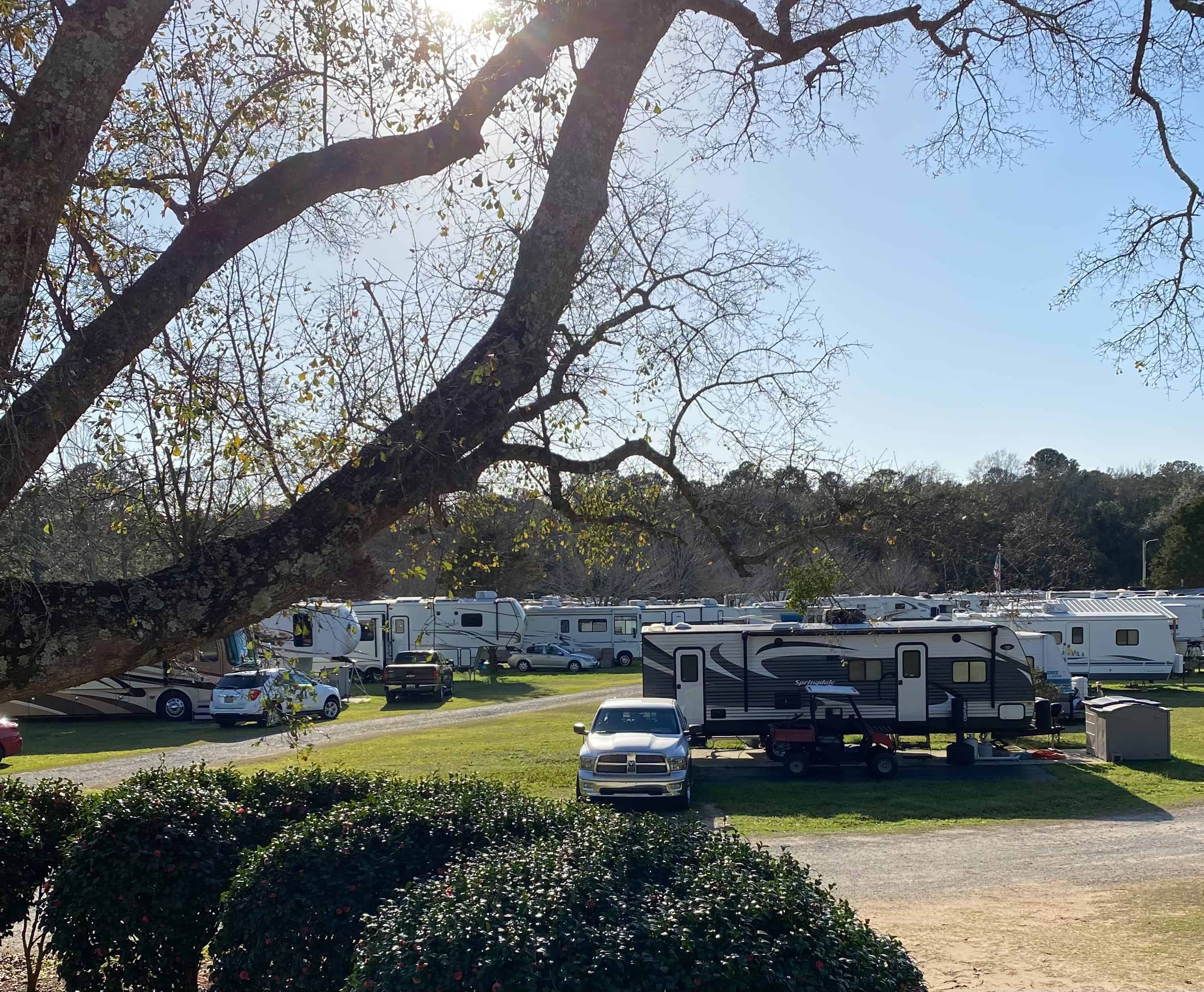 Camellia RV Park