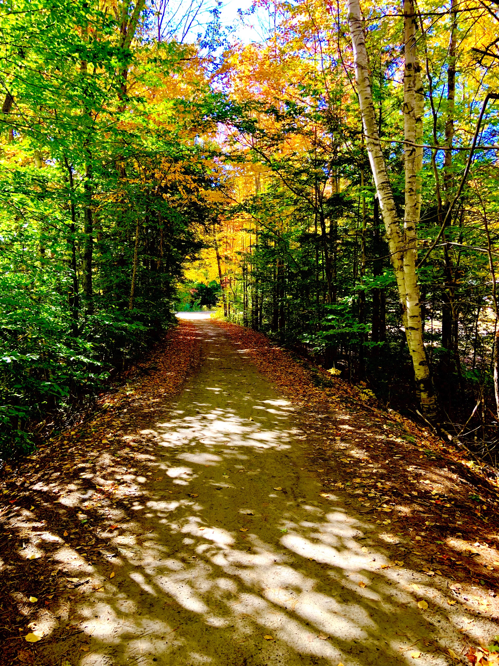 Spacious Skies Campgrounds - Seven Maples