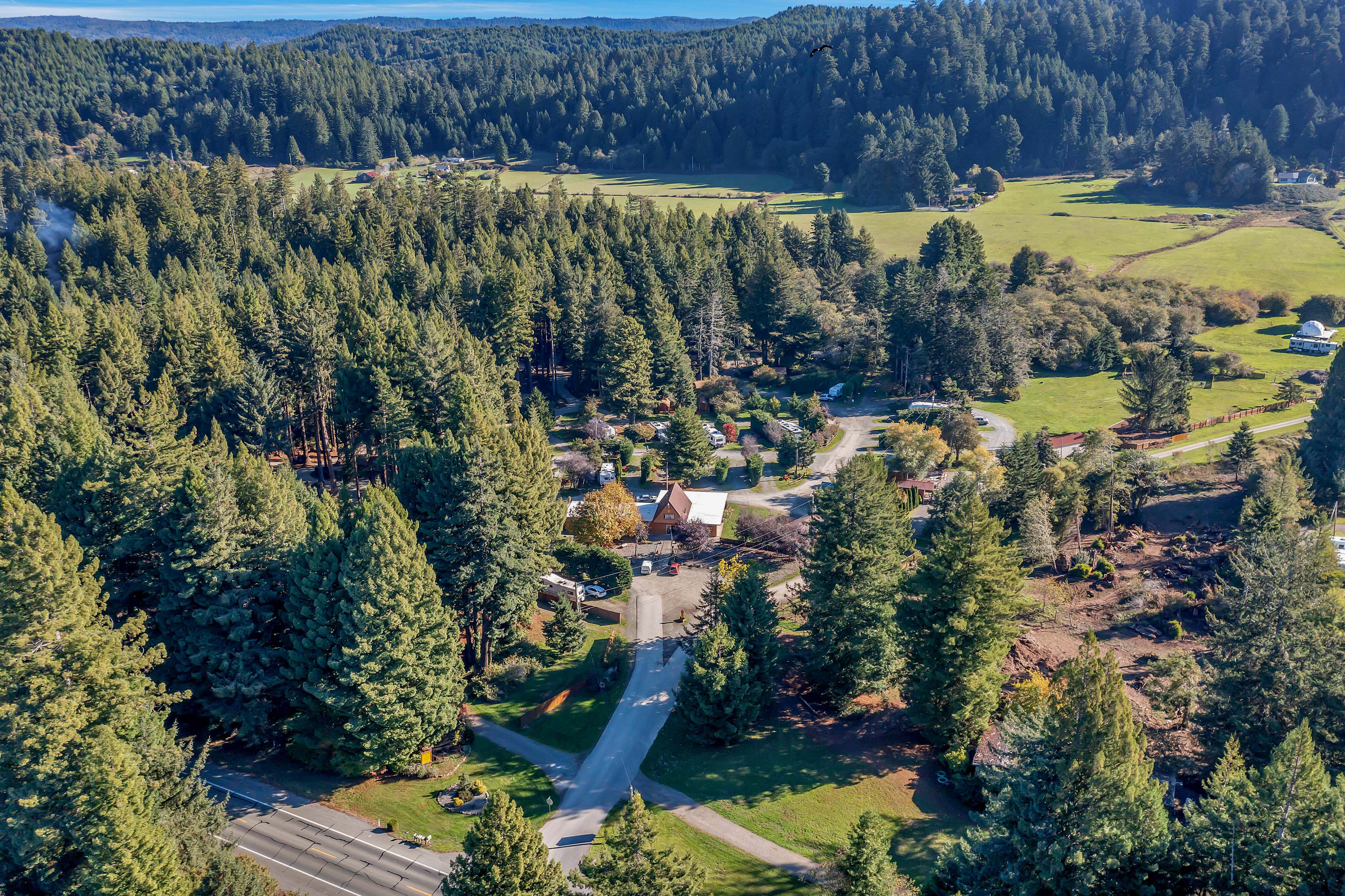 Crescent City / Redwoods KOA