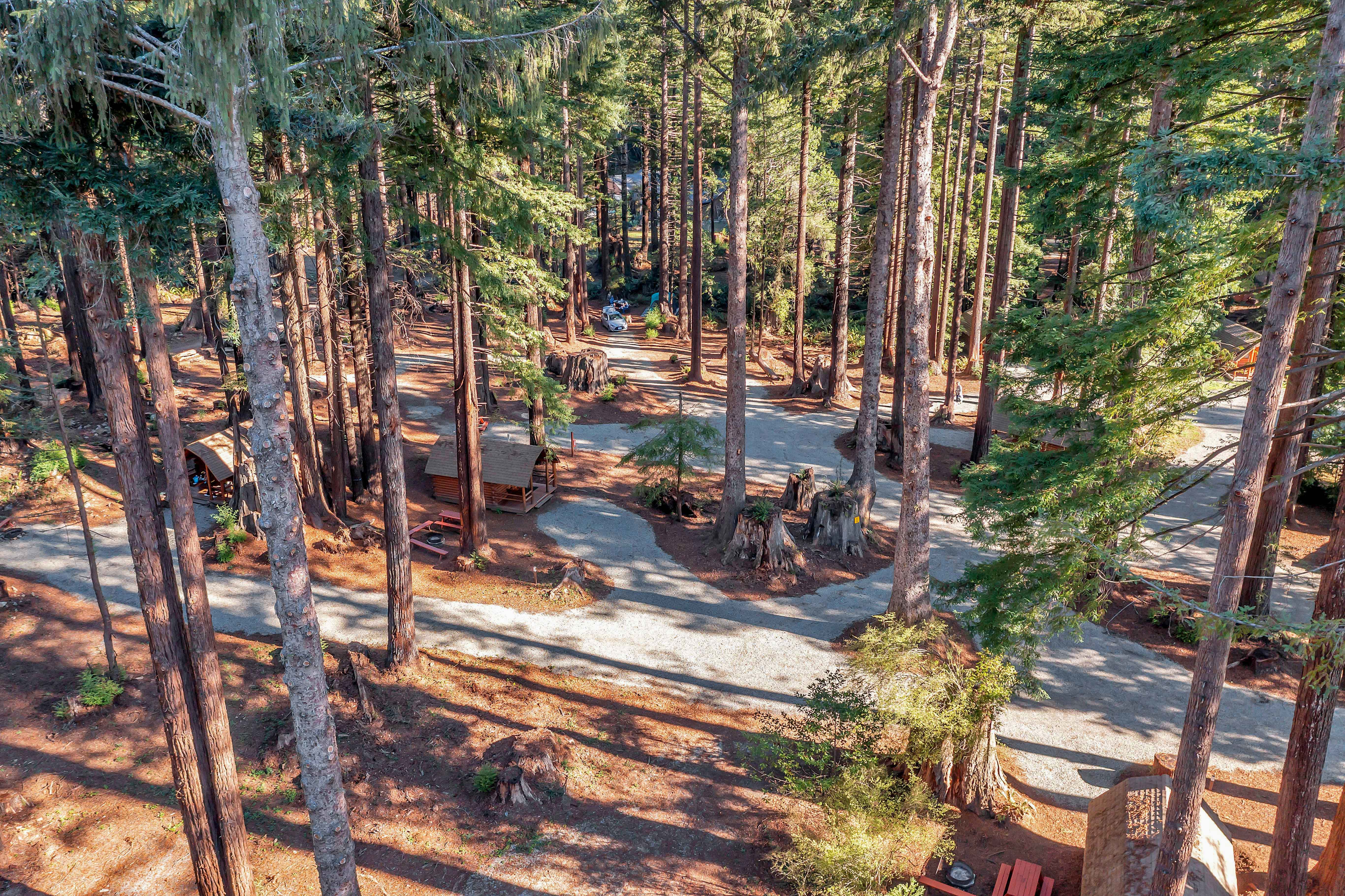 Crescent City / Redwoods KOA