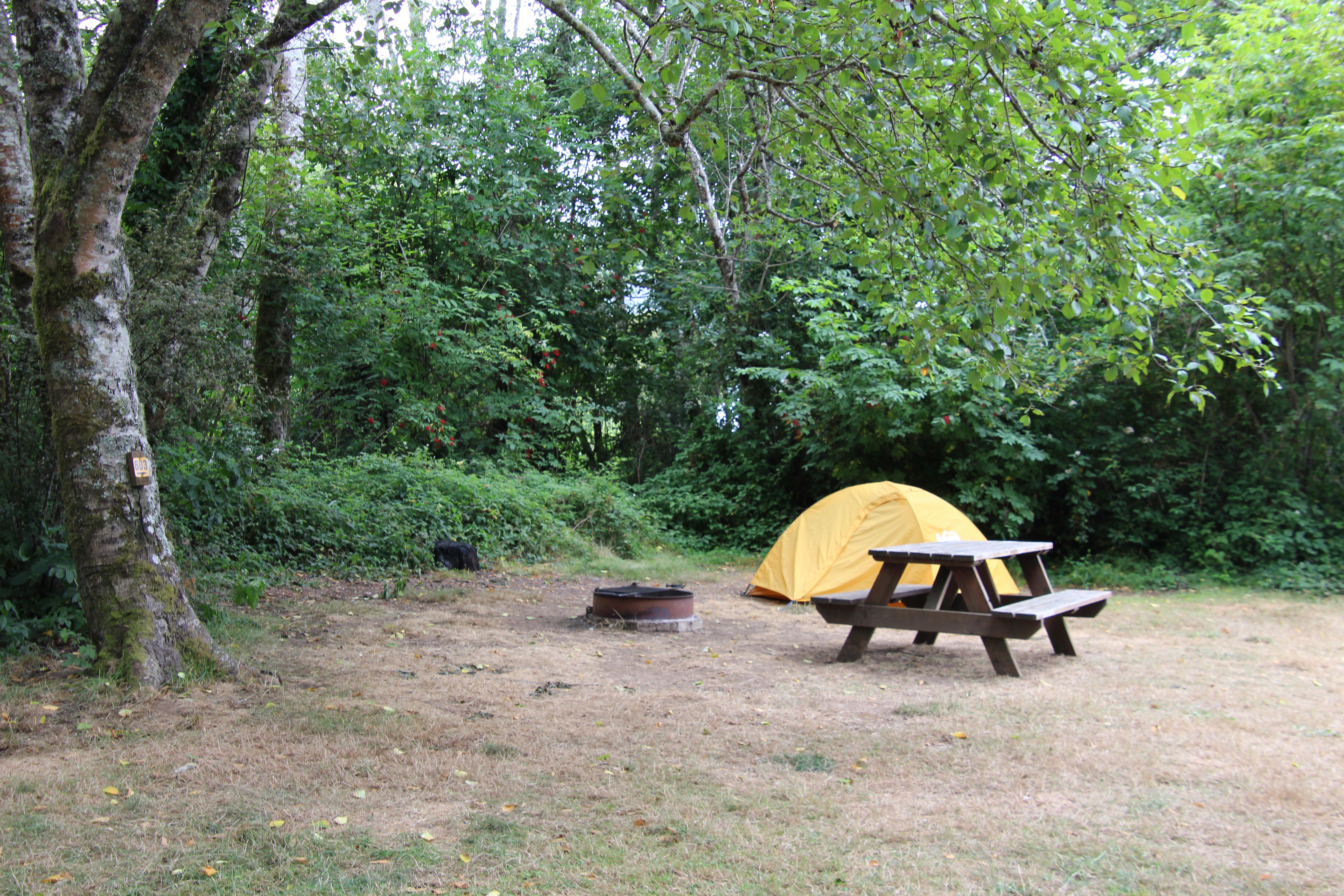 Crescent City / Redwoods KOA
