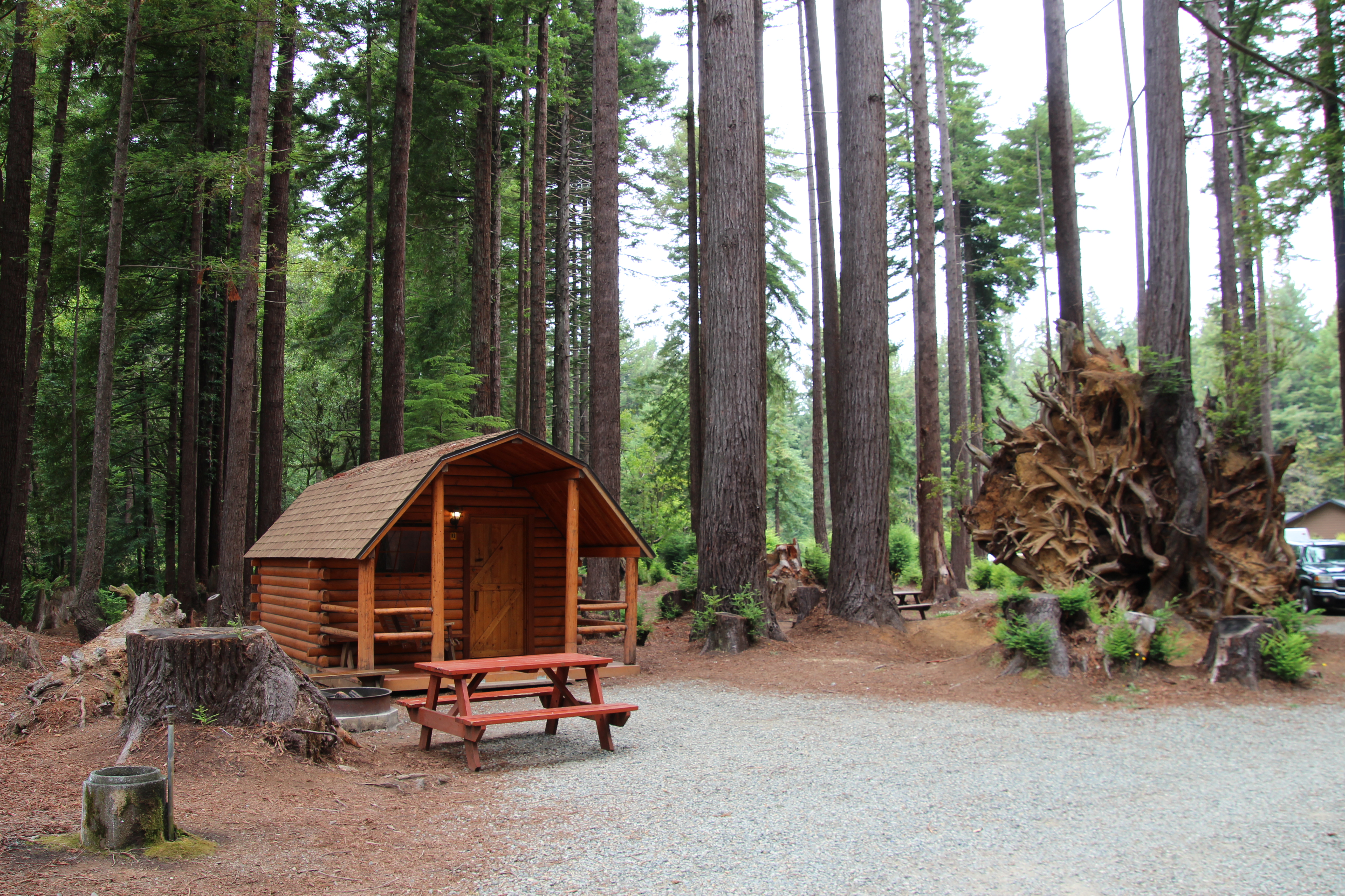Crescent City / Redwoods KOA