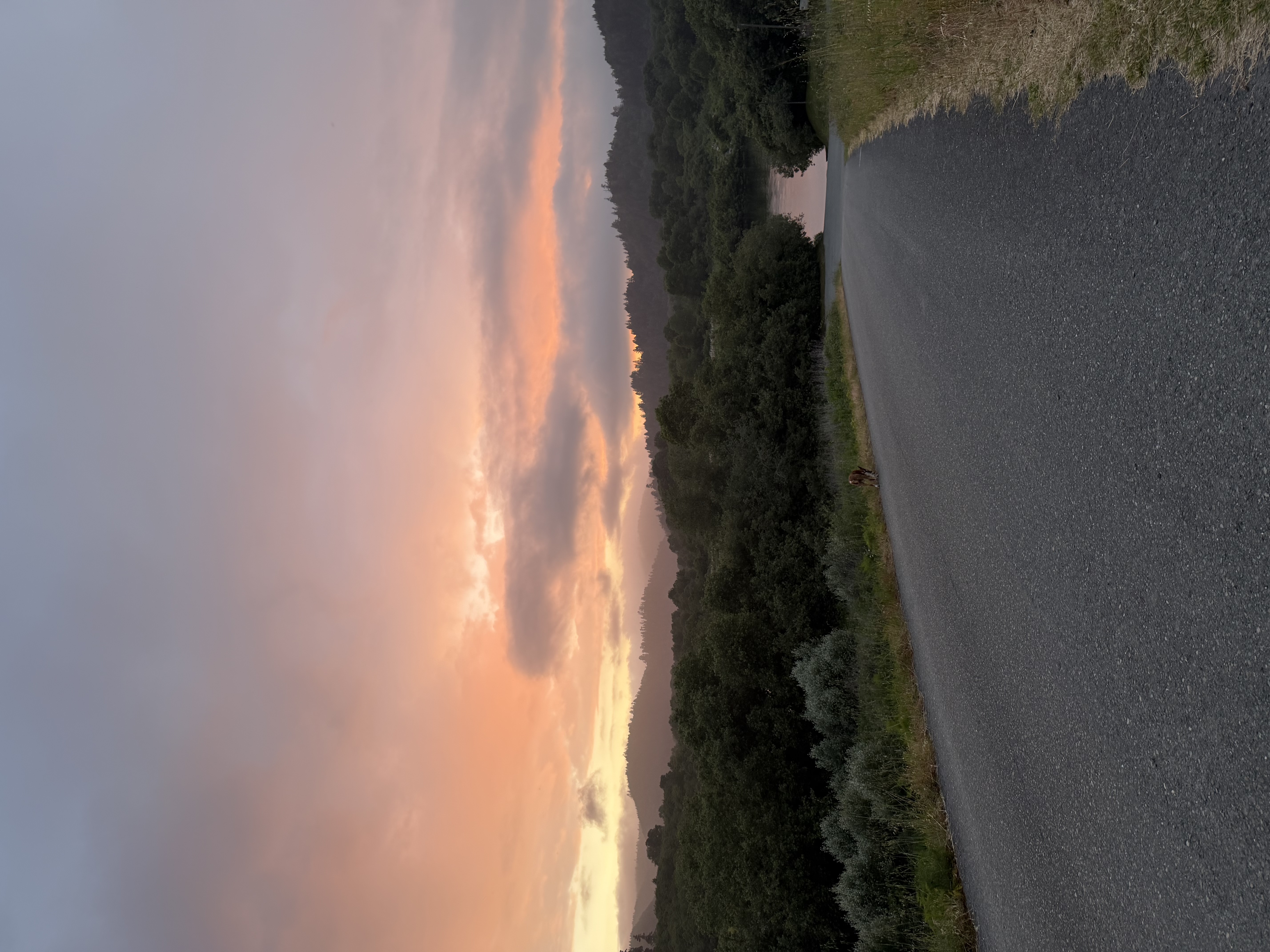 Terwer RV Park