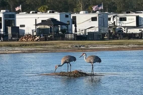 Keystone Heights RV Resort