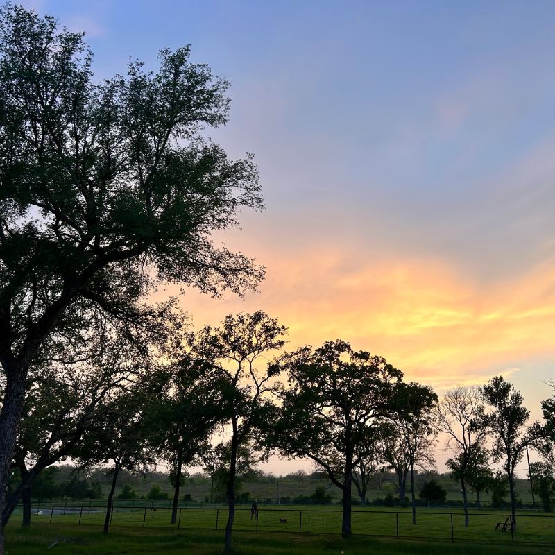 Austonia RV Resort