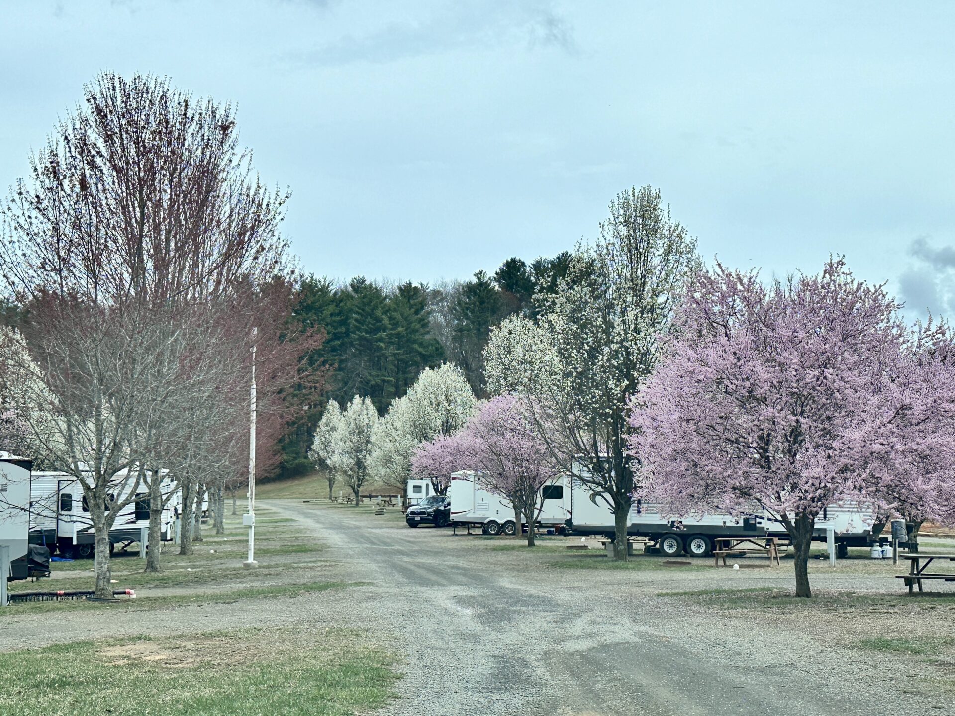 Lake Ridge RV Resort