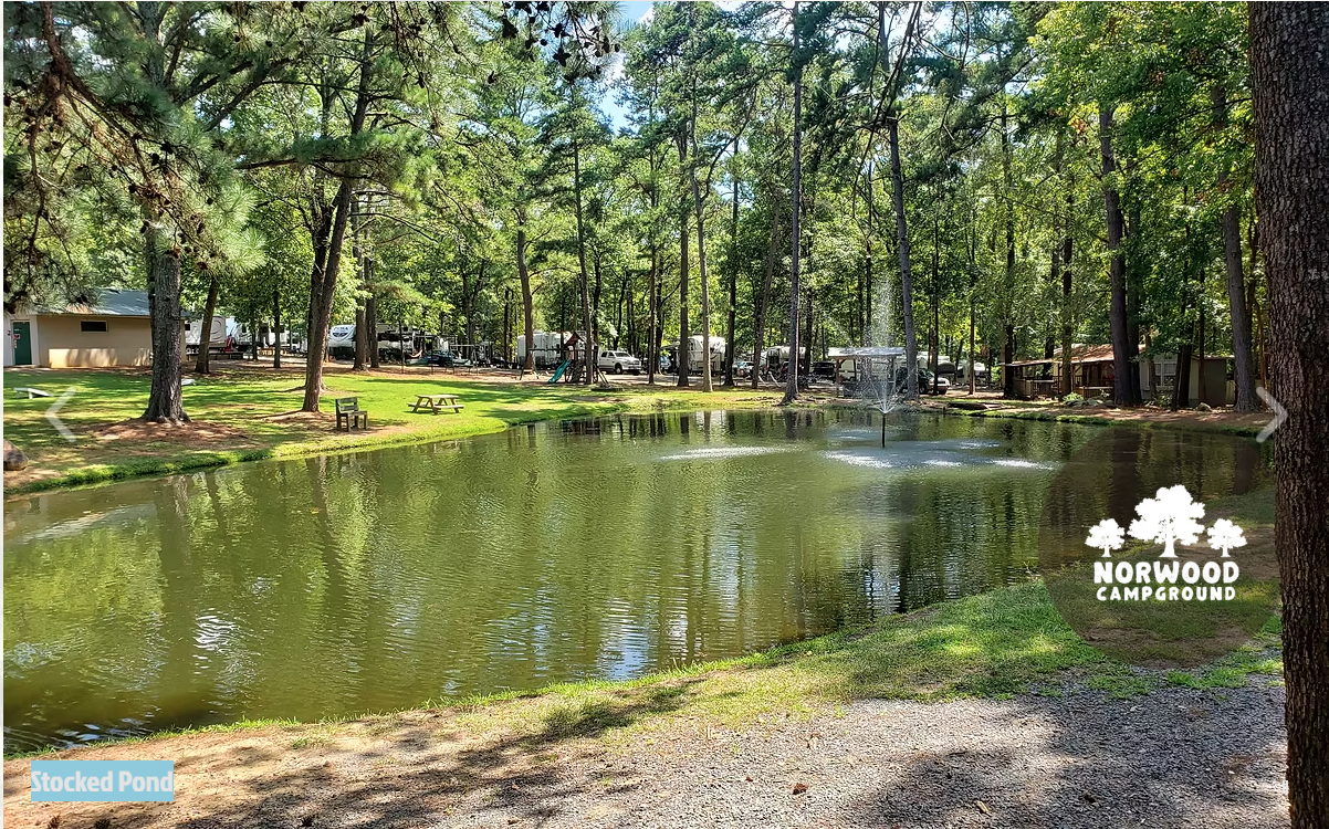 Norwood Campground
