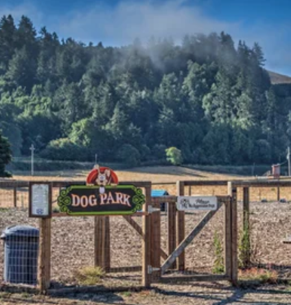 Casini Ranch Family Campground