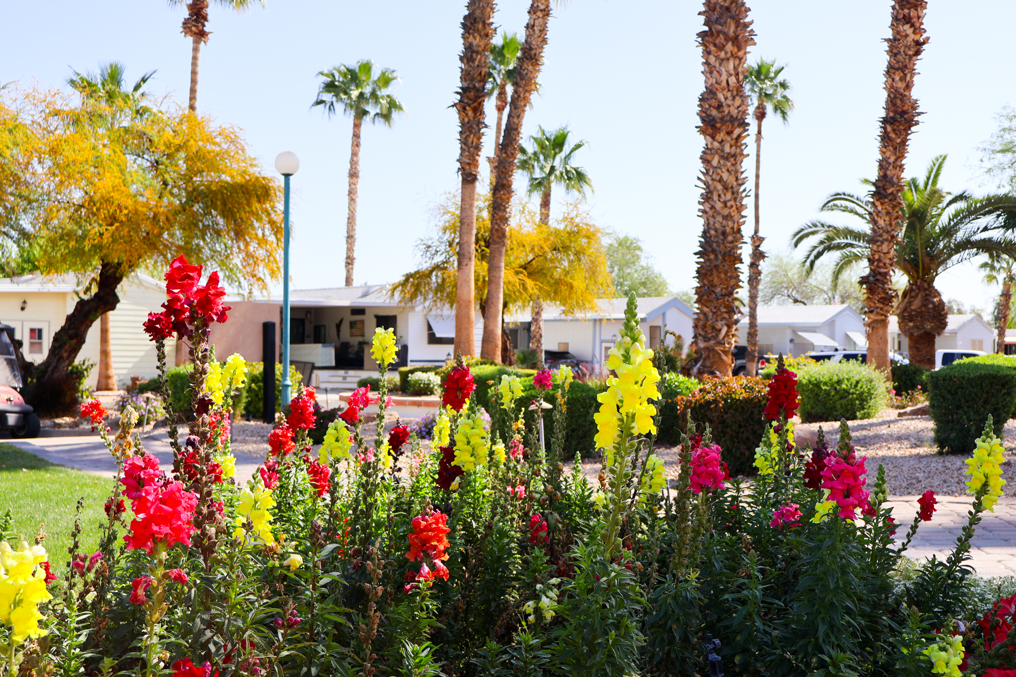 Pueblo El Mirage RV Resort