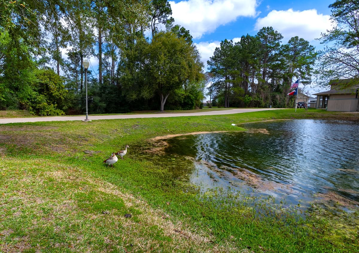 Rayford Crossing RV Resort