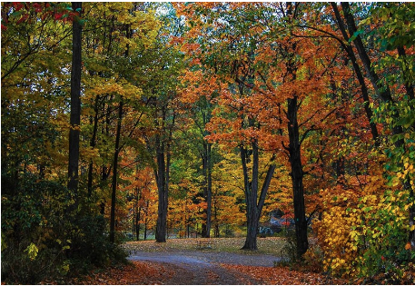 Catskill Mountains / Gilboa KOA Holiday