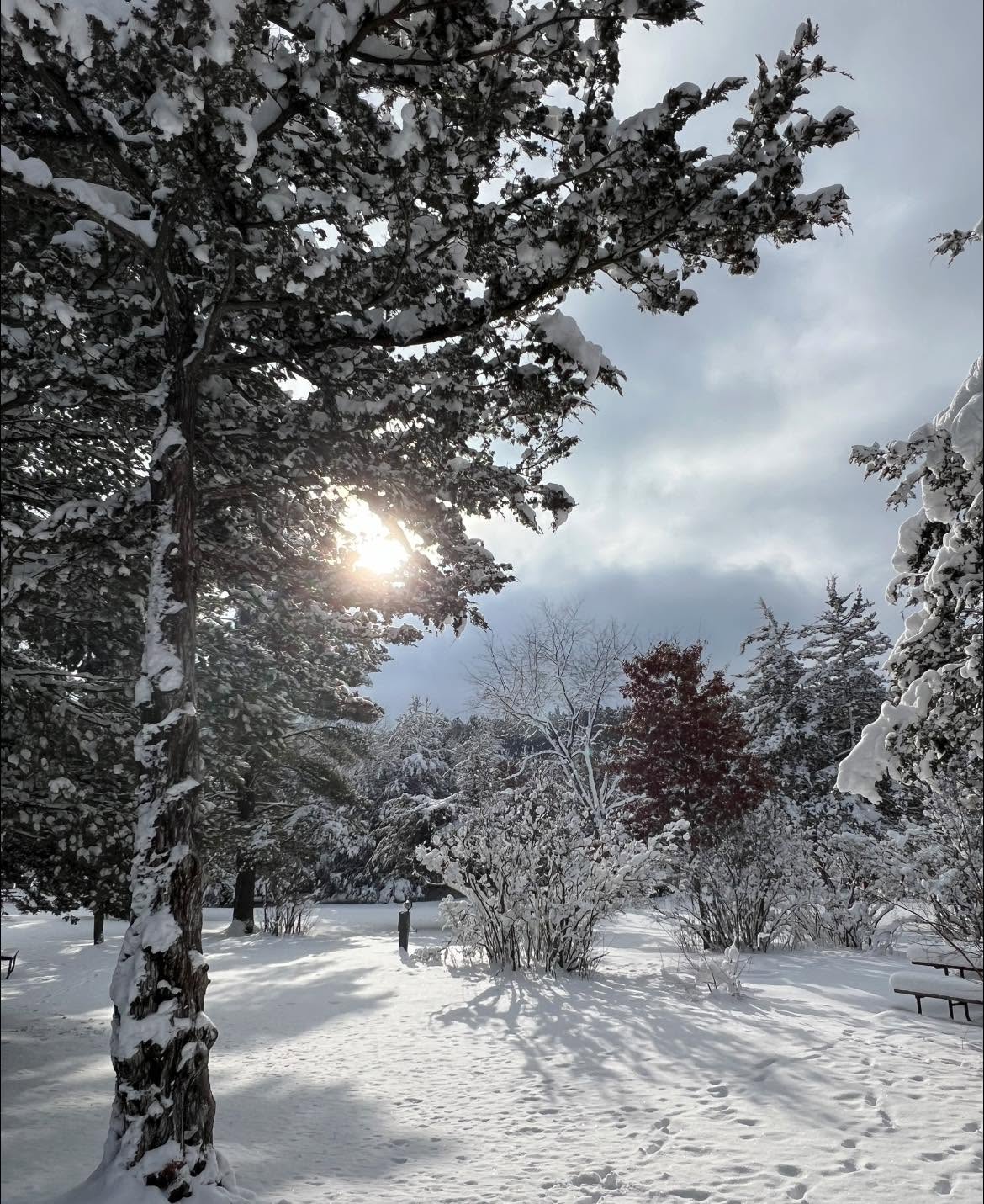 Dell Pines Campground
