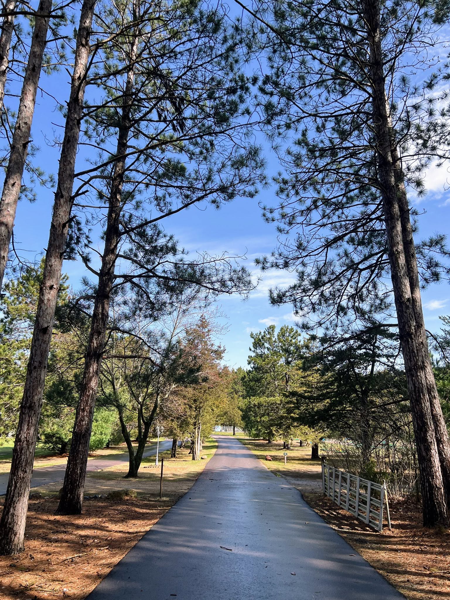 Dell Pines Campground